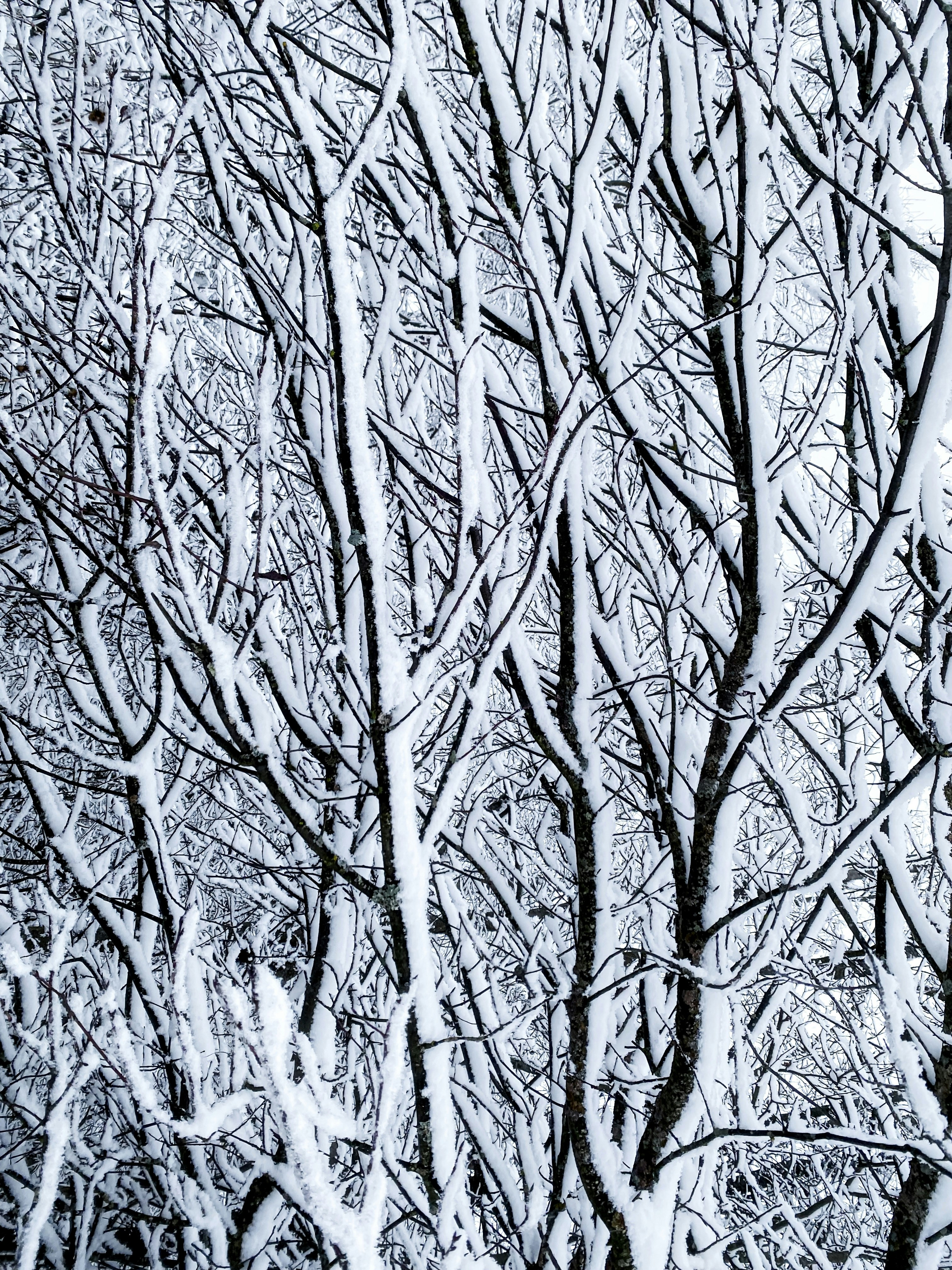 Photo by eugene_golovesov