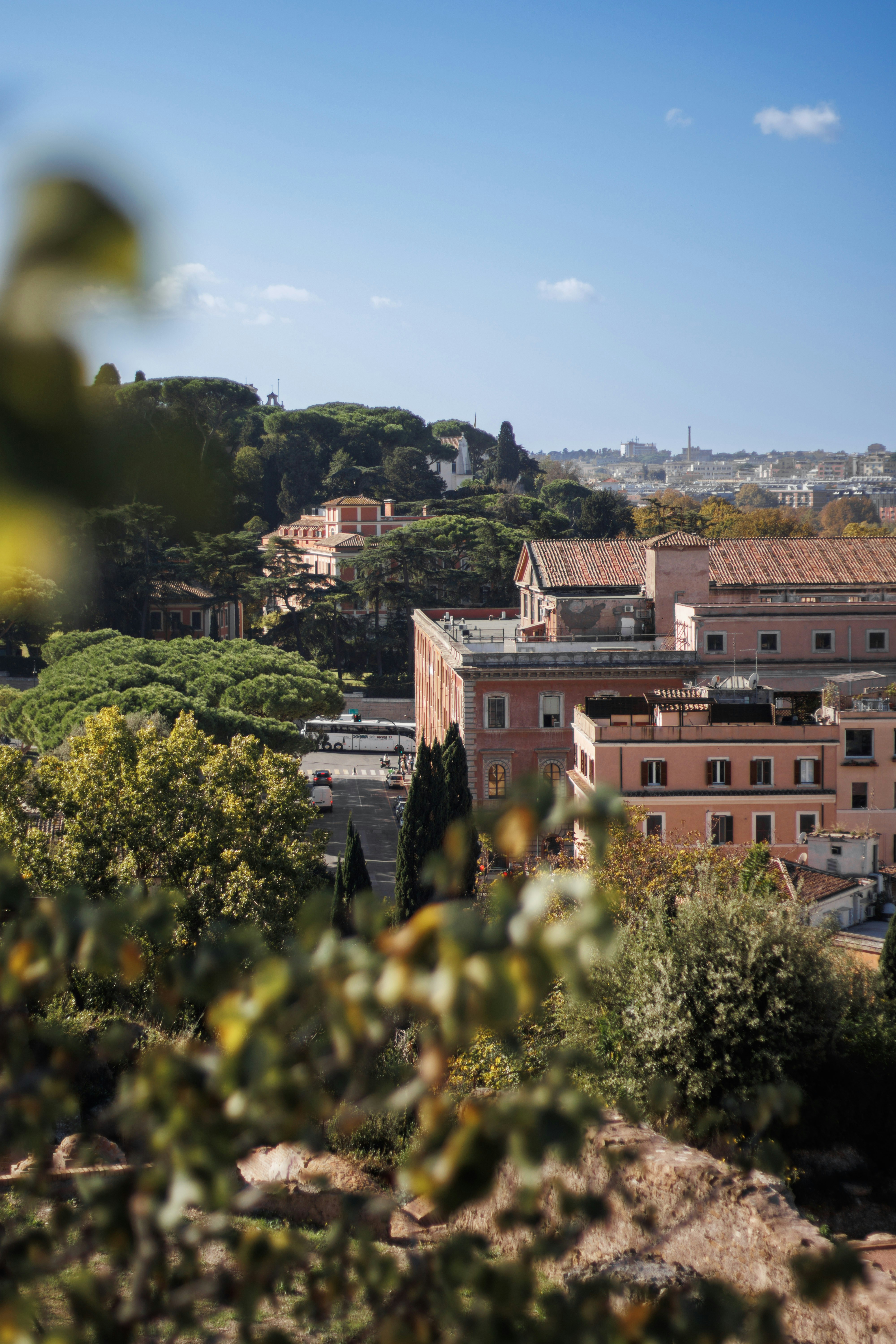 Sunny day view of buildings and trees in rome