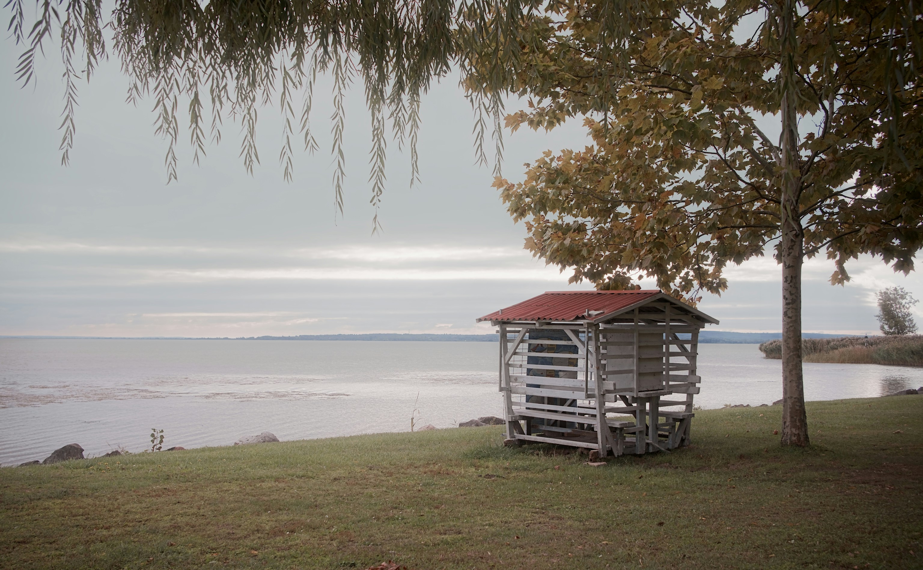 Photo by donkeyradish