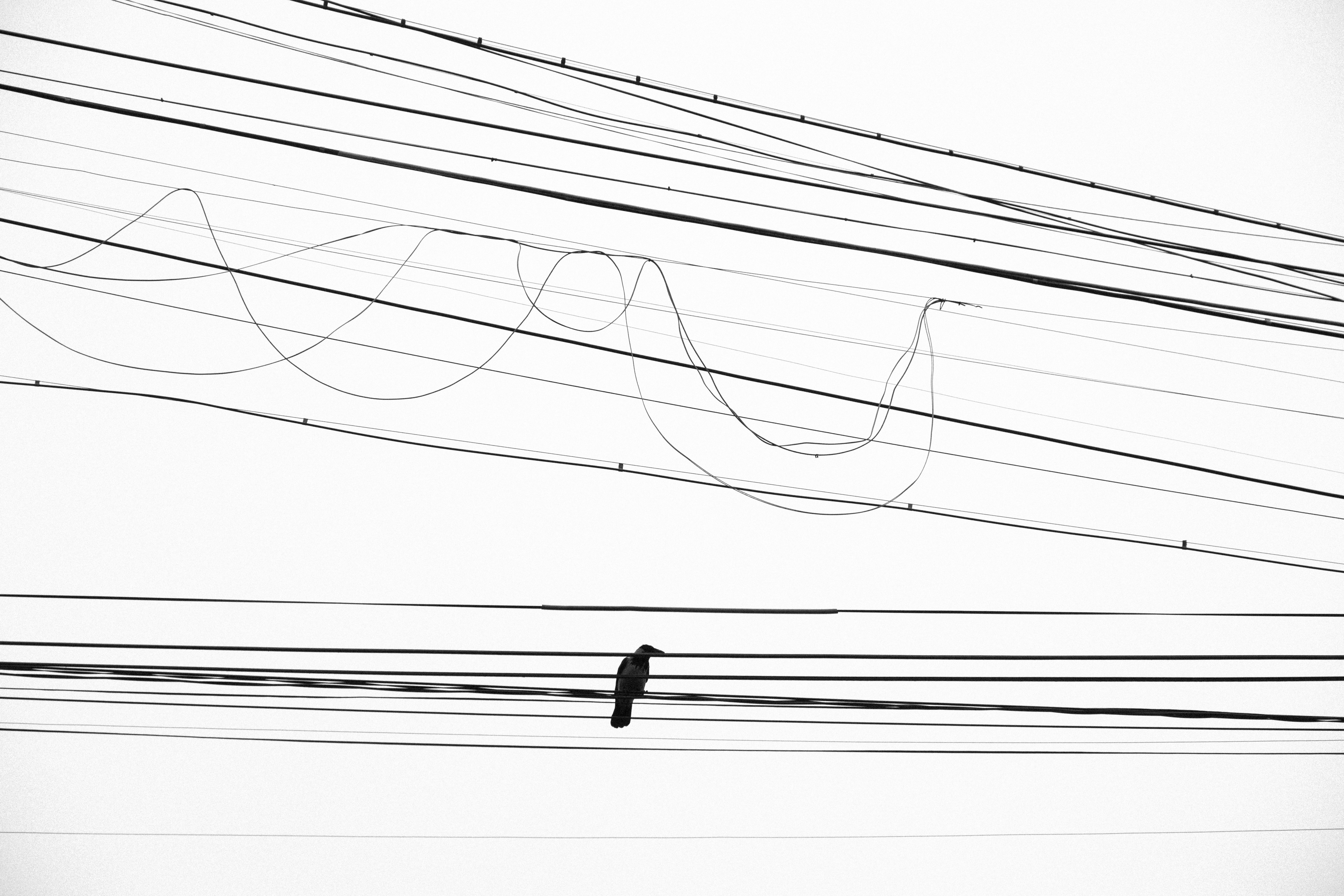 Understanding purpose sketch