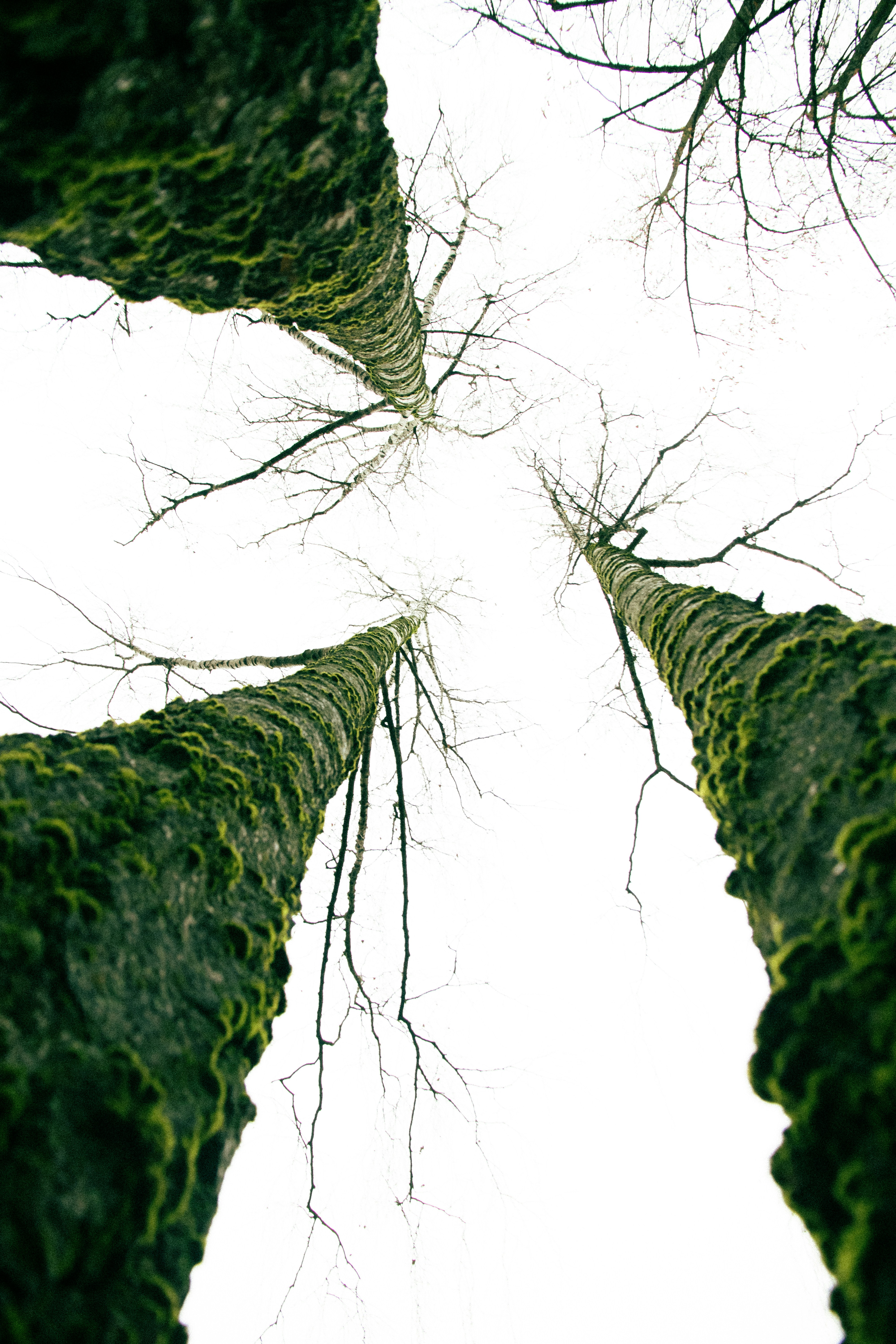 Photo by reinisbruzitis