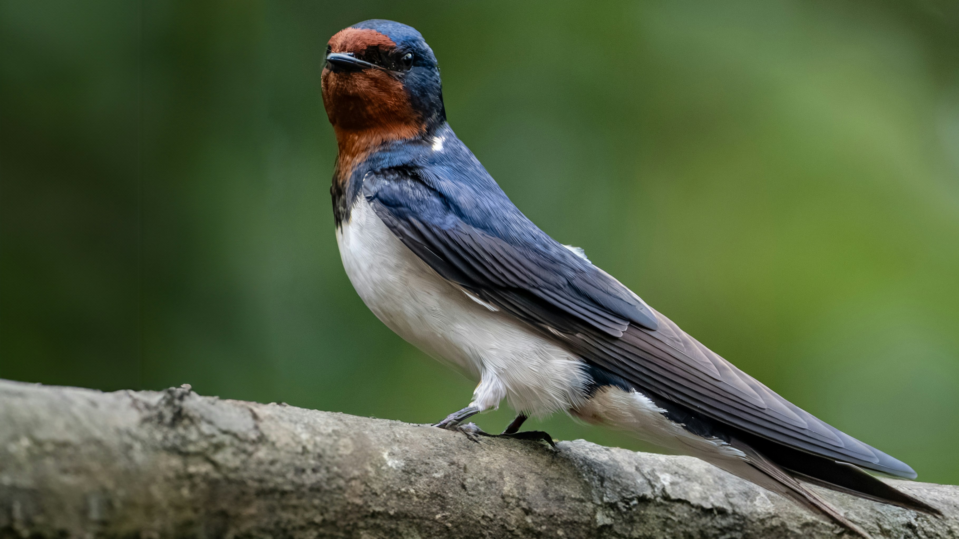 Photo by philrobson100