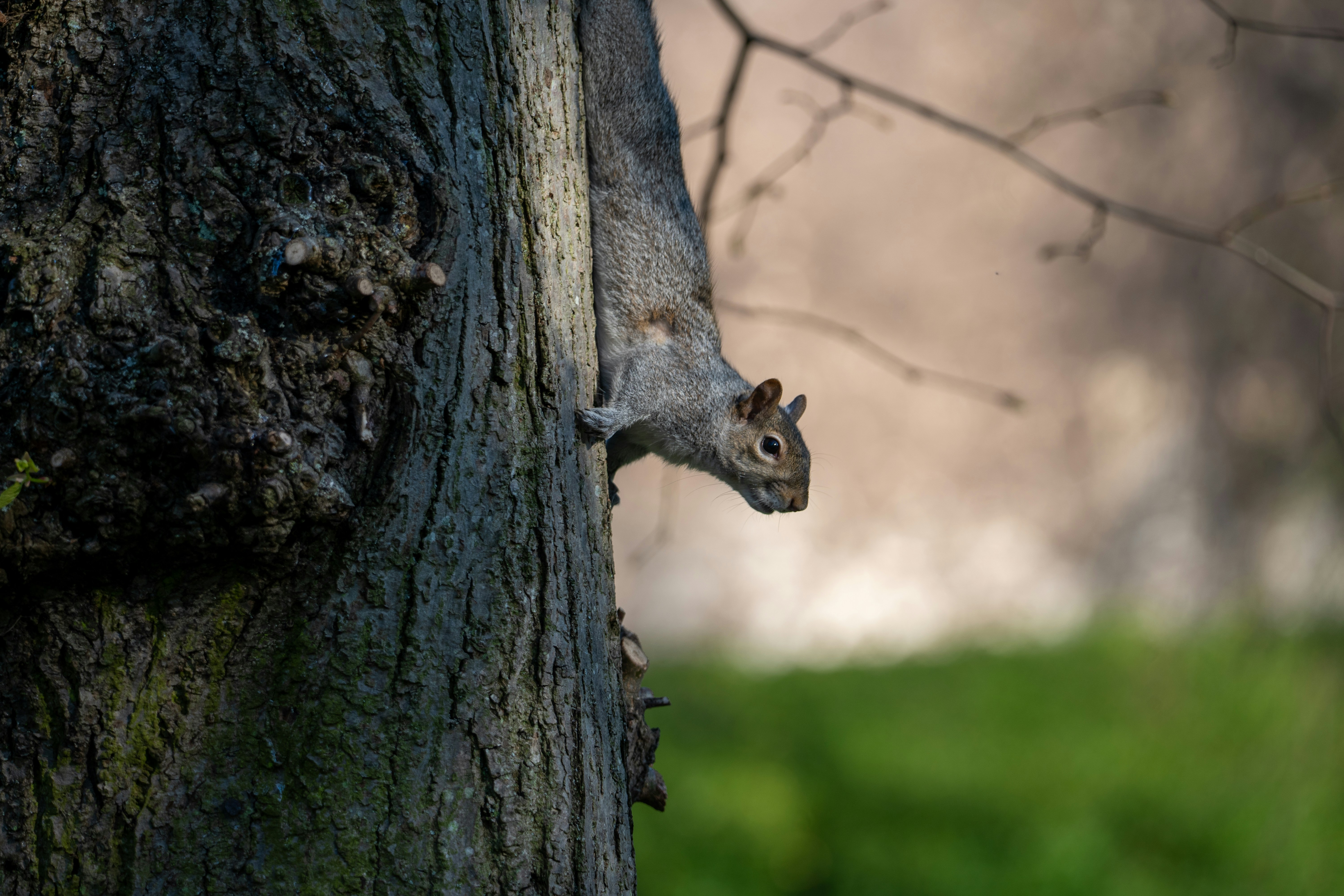 Photo by niall_smith