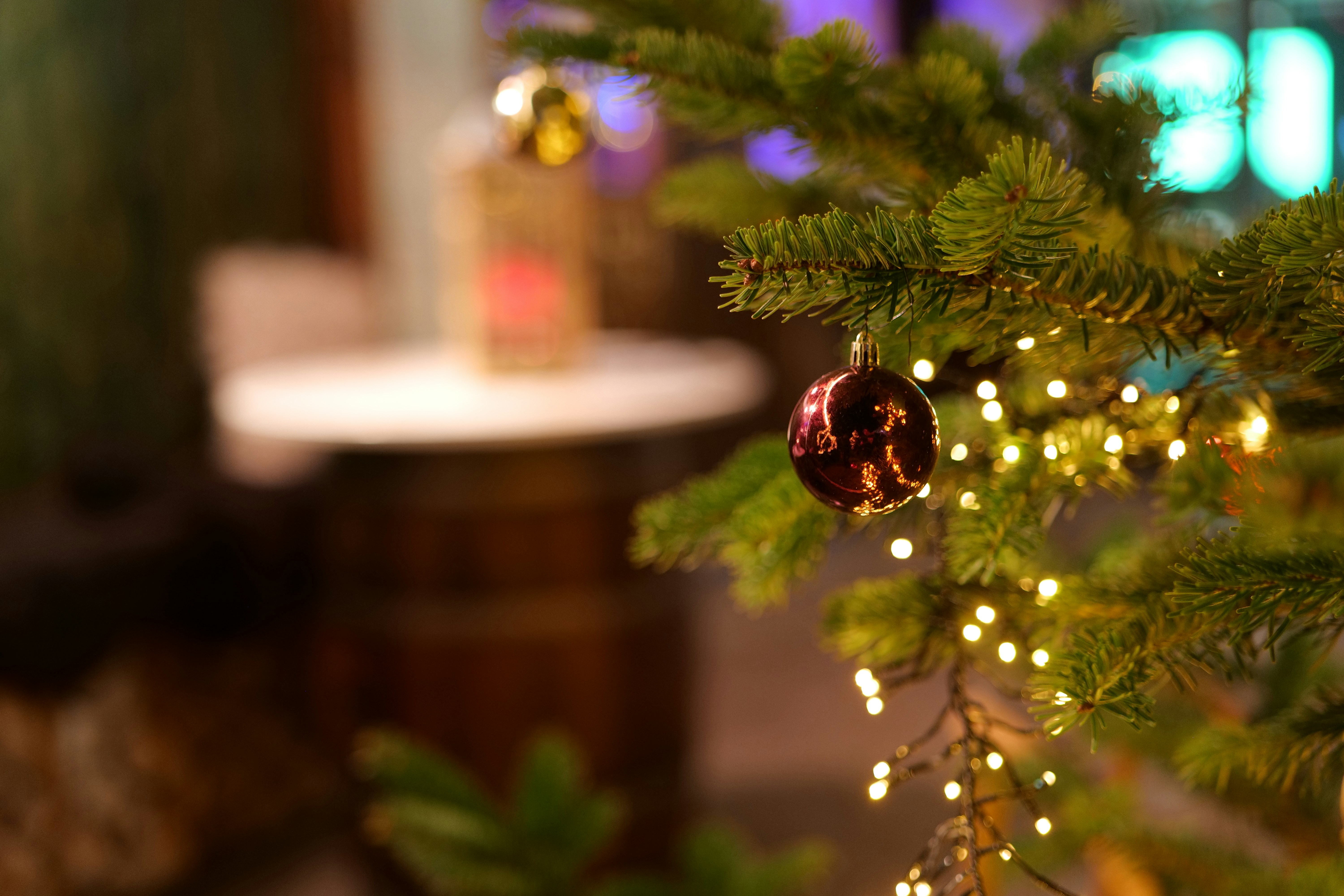Close-up of a decorated christmas tree with lights.