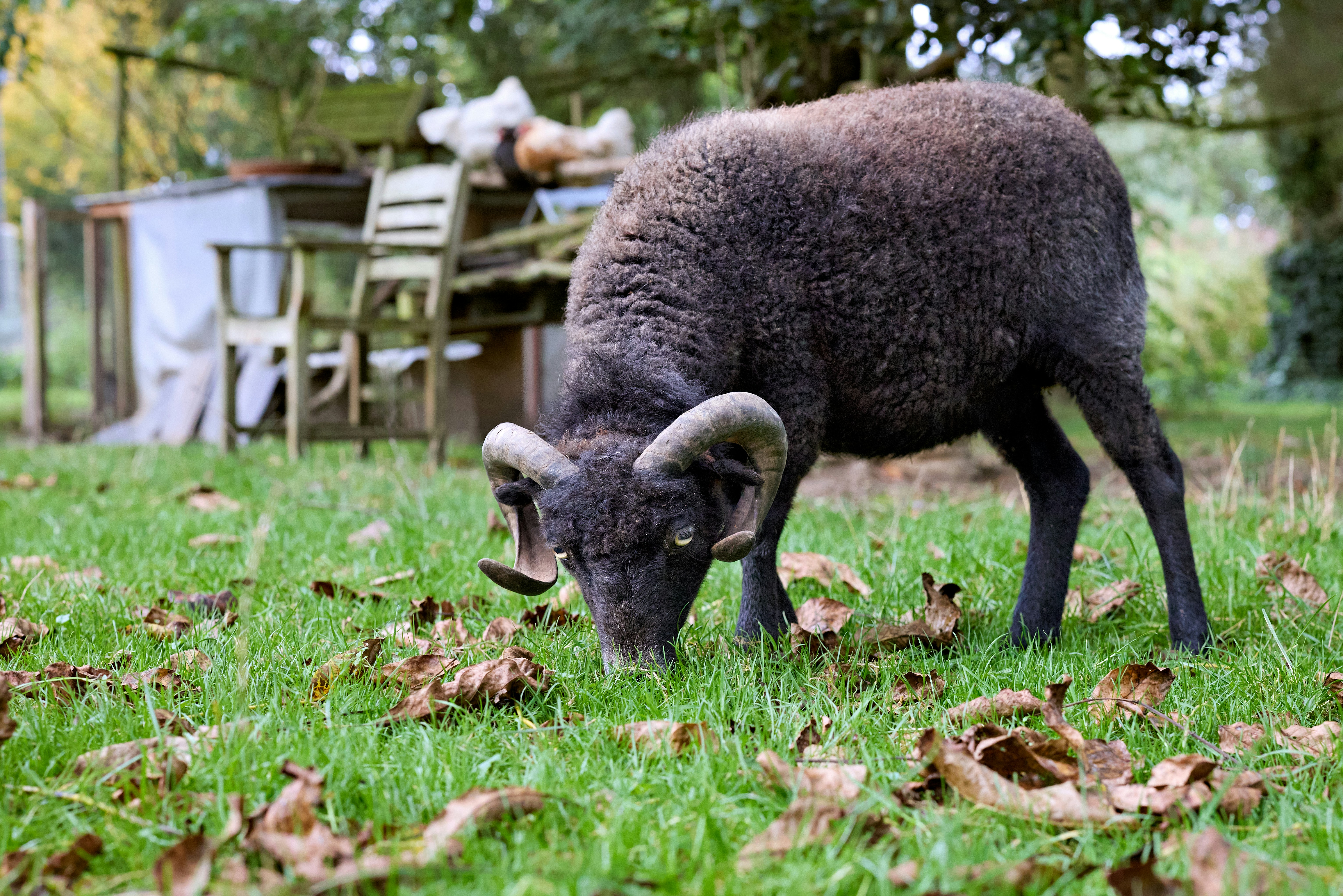 Photo by erwinbosman