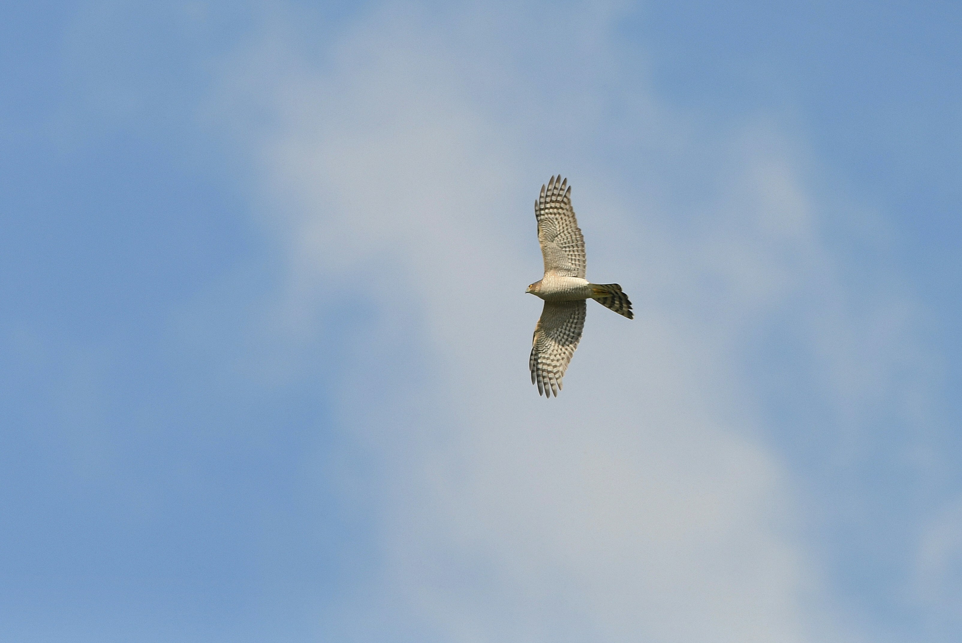 Photo by geraldine86170