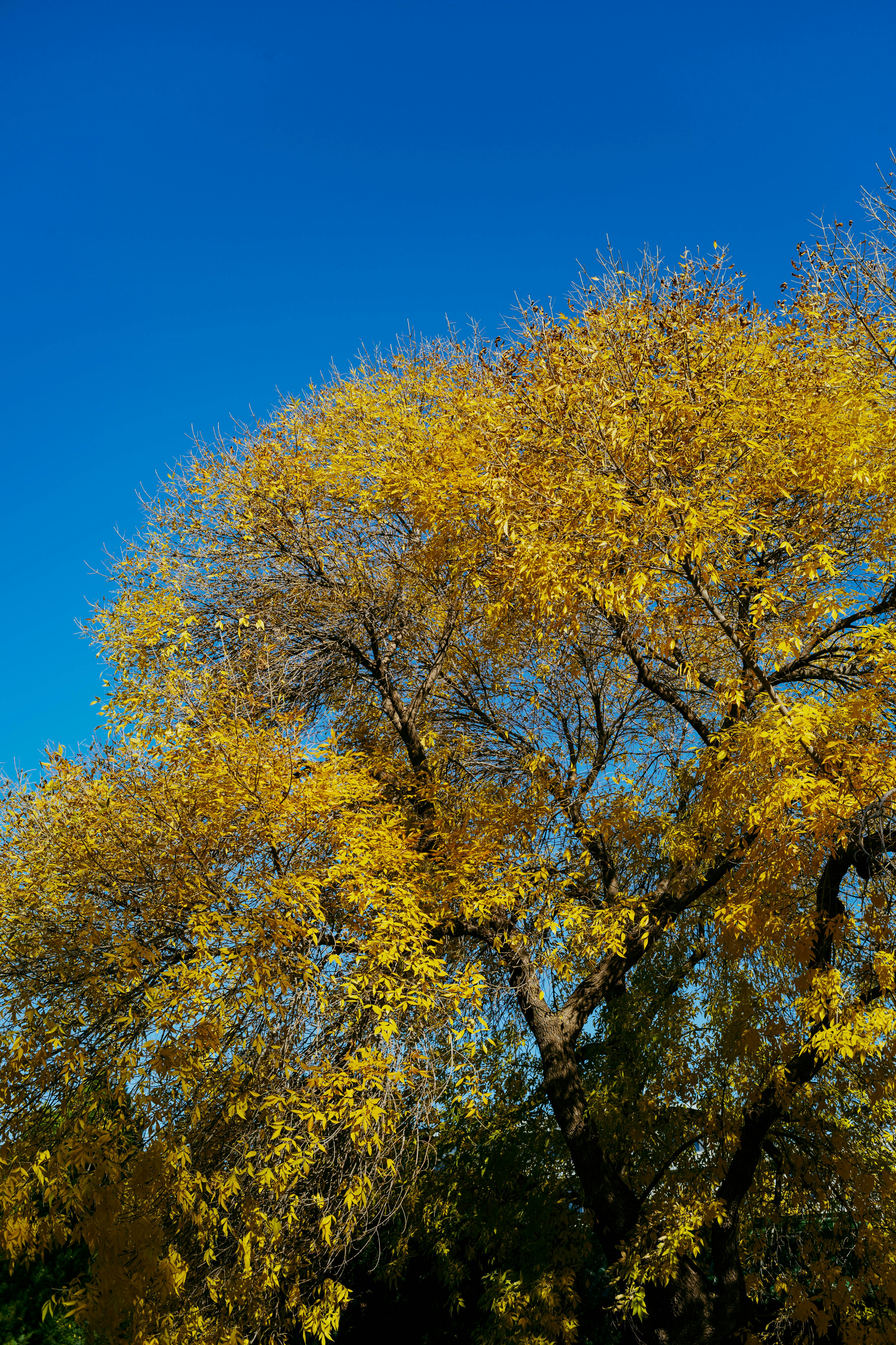 Photo by tommaomaoer