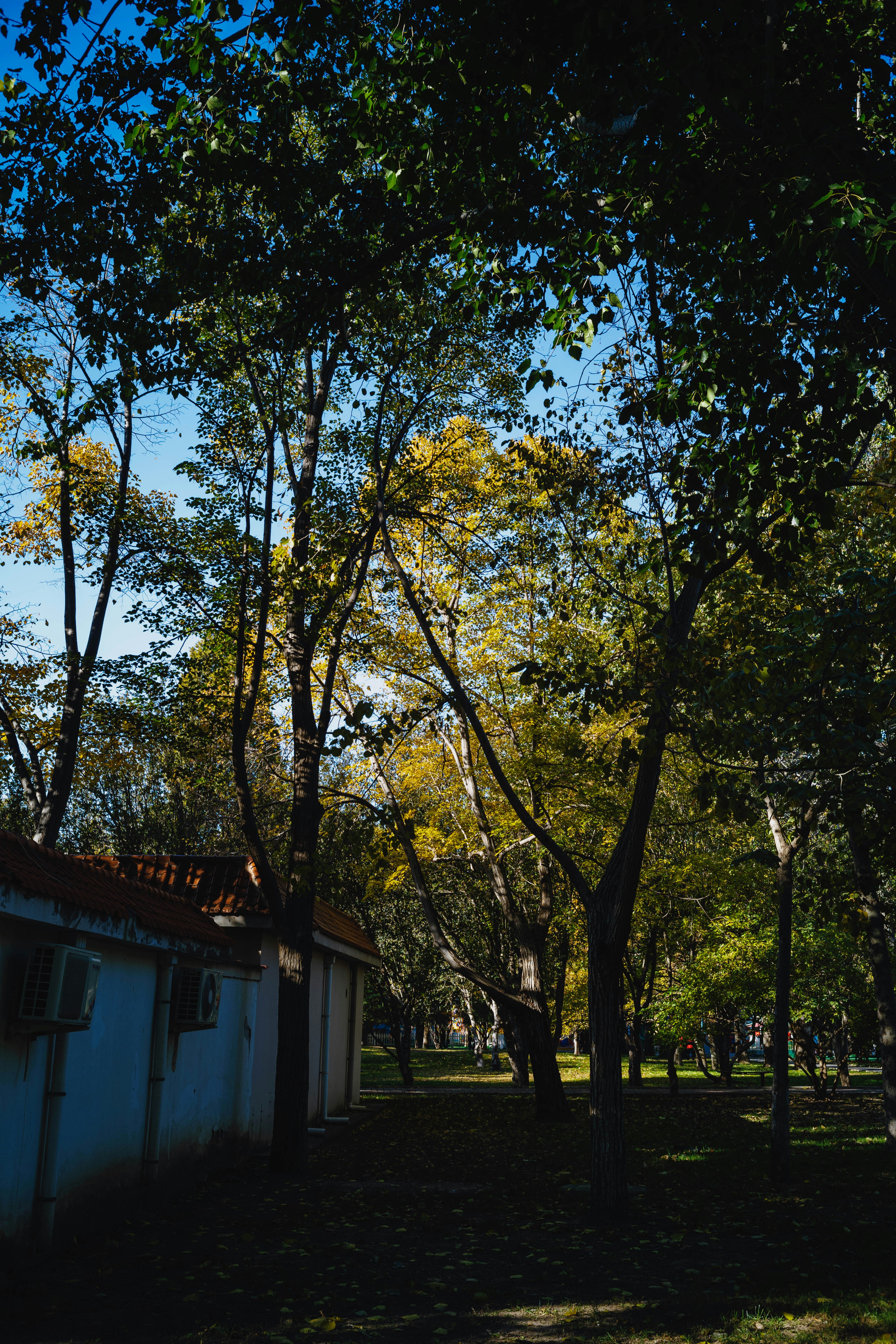 Photo by tommaomaoer