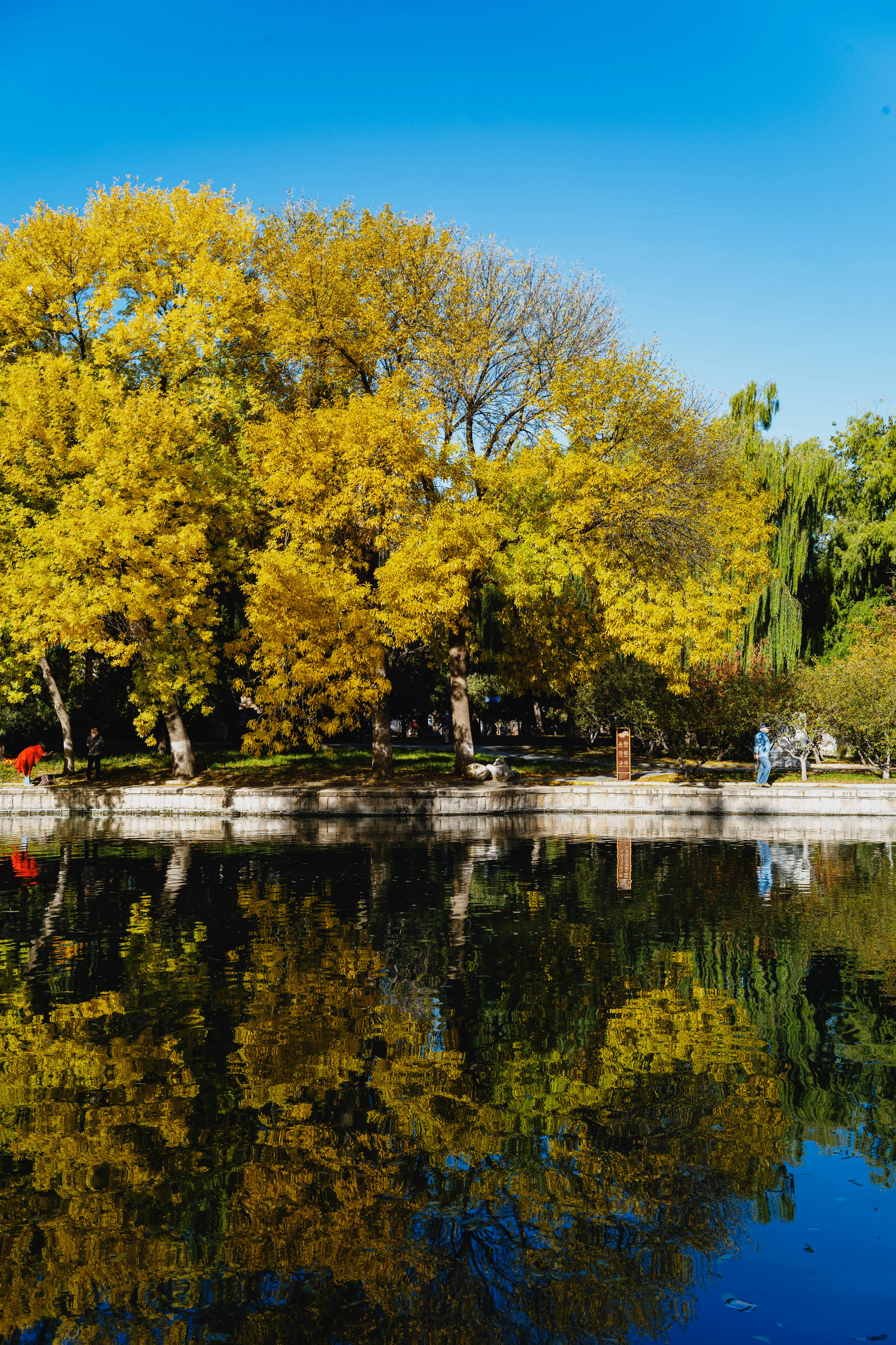 Photo by tommaomaoer