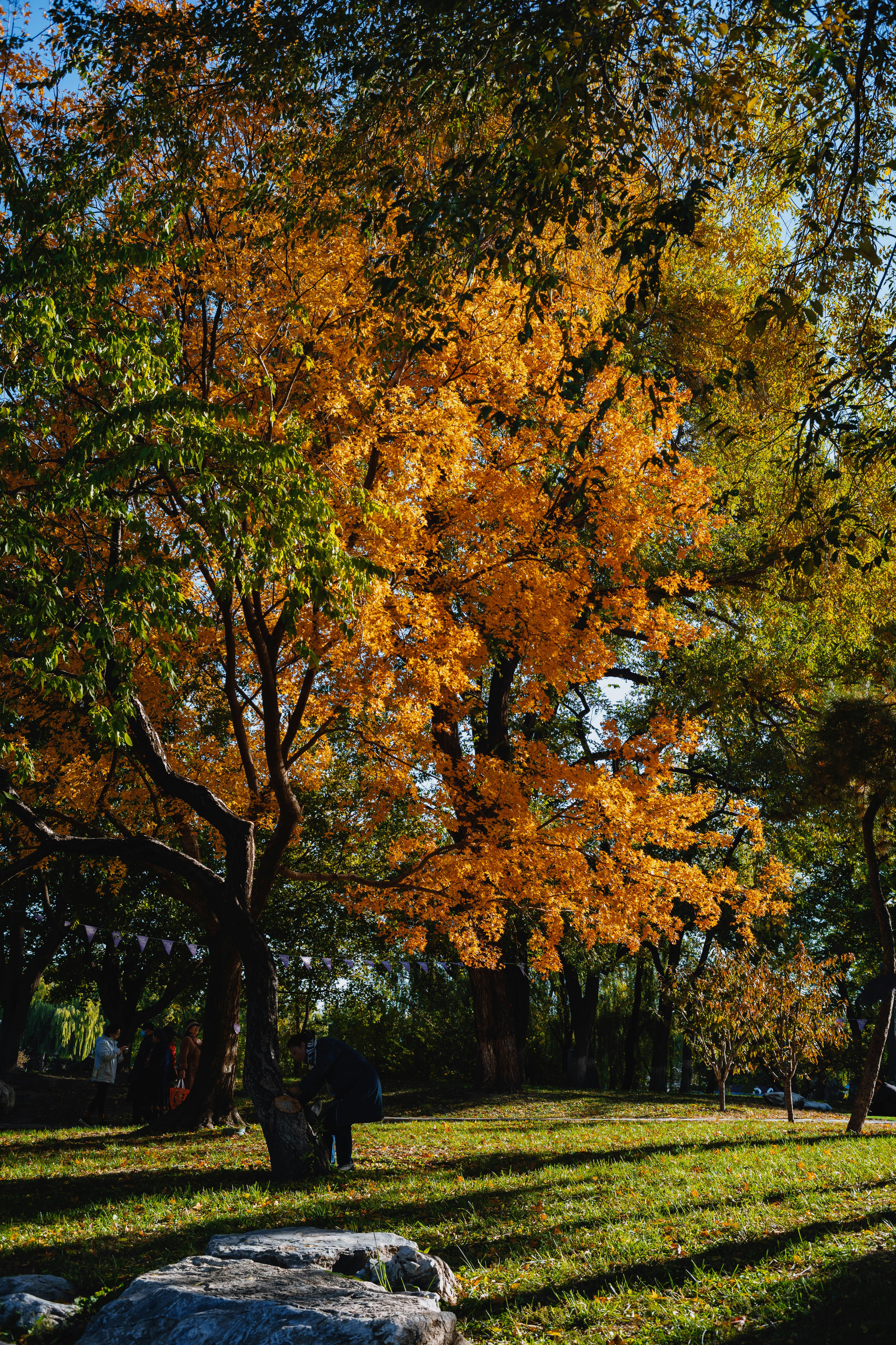 Photo by tommaomaoer