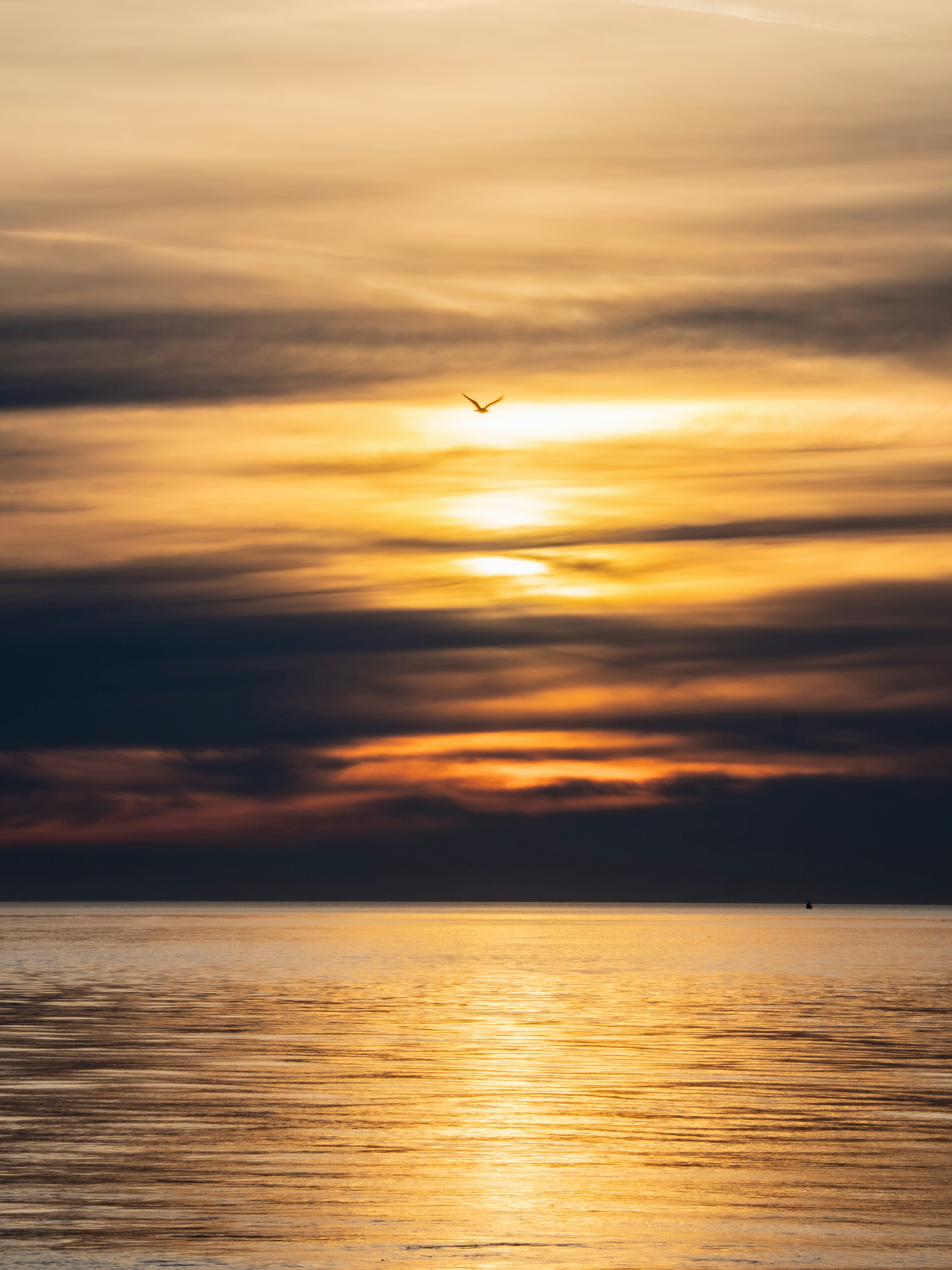 Photo by gopitri_prem