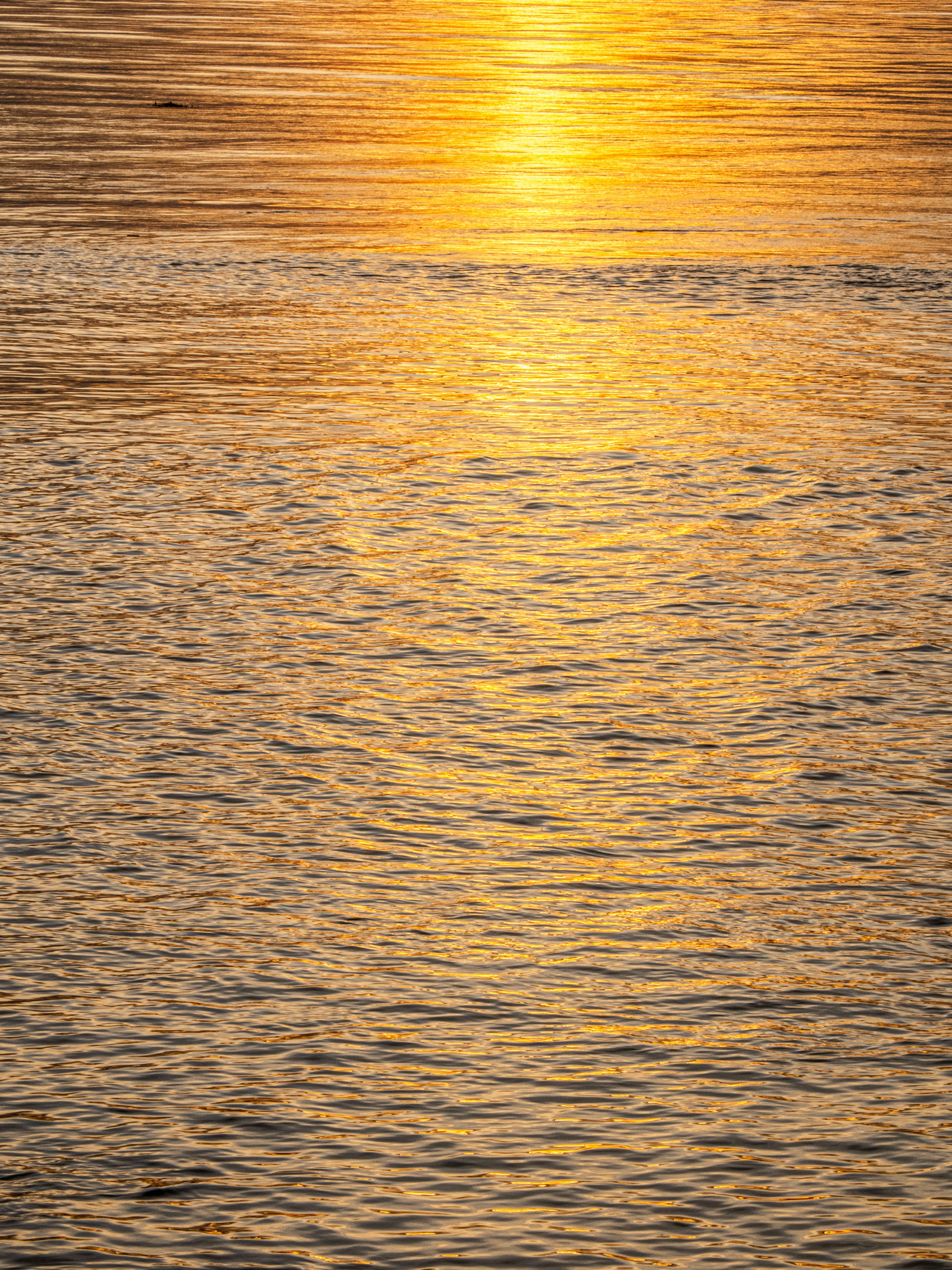 Photo by gopitri_prem