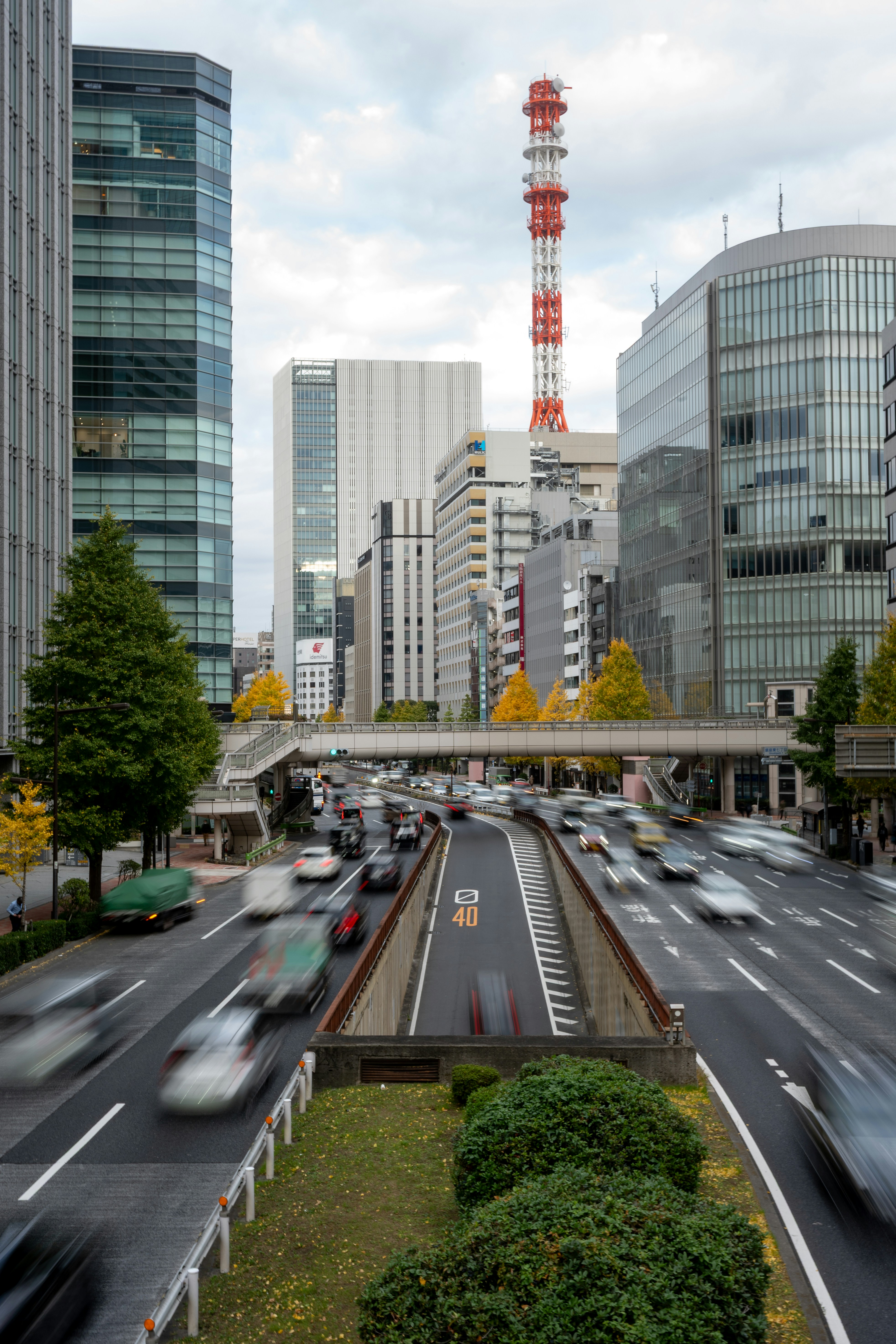 Photo by turquocabbit