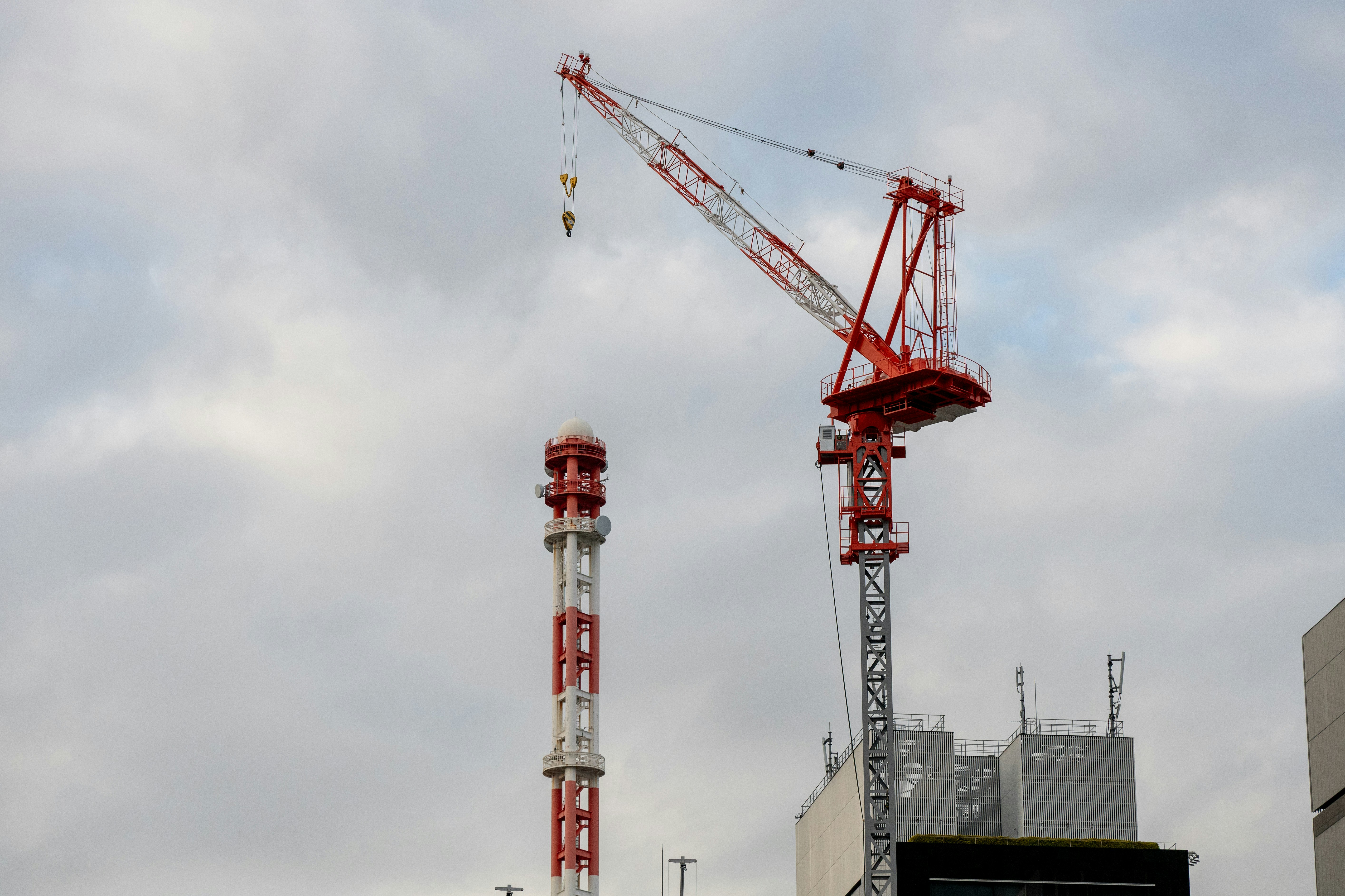 Photo by turquocabbit