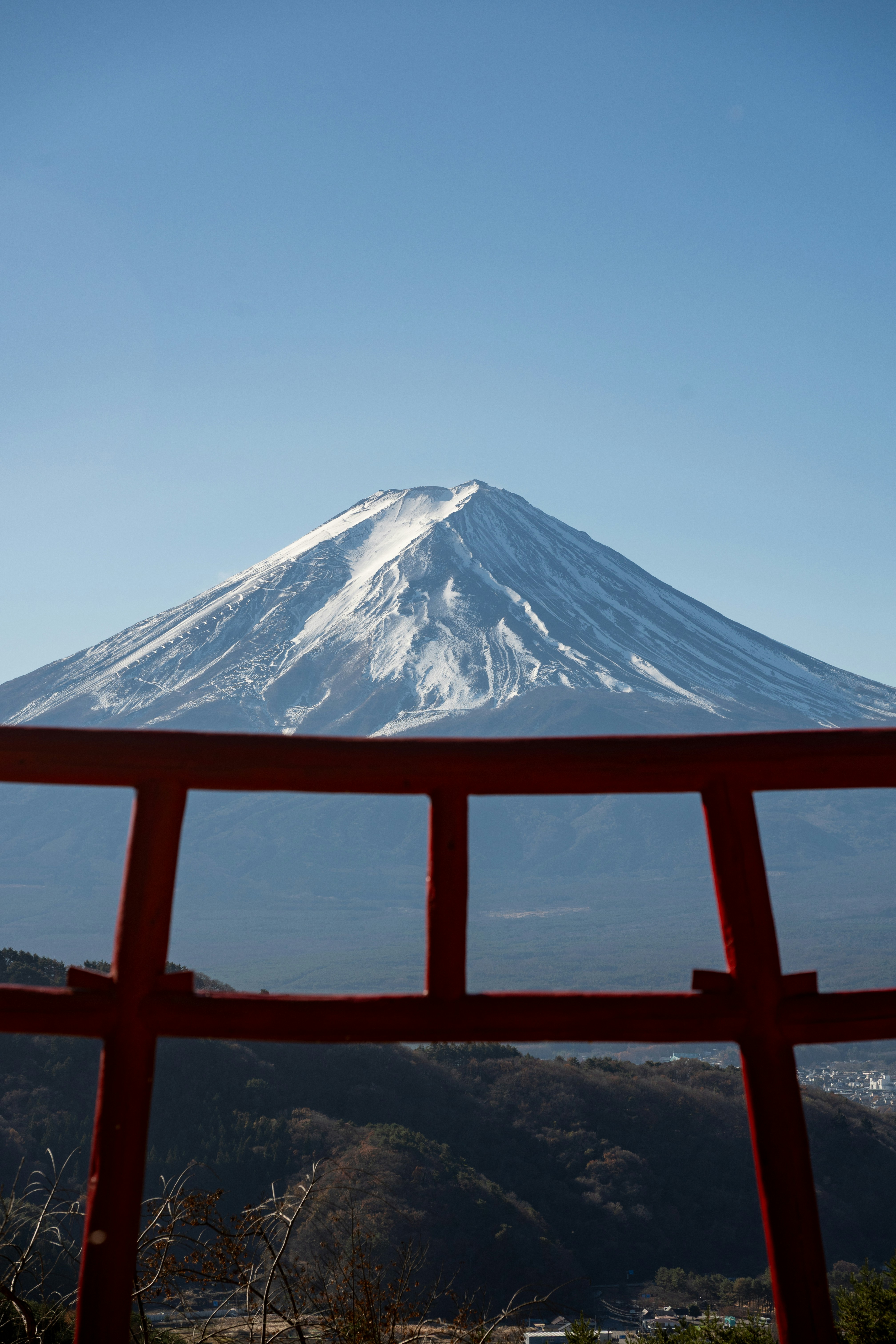 Photo by turquocabbit