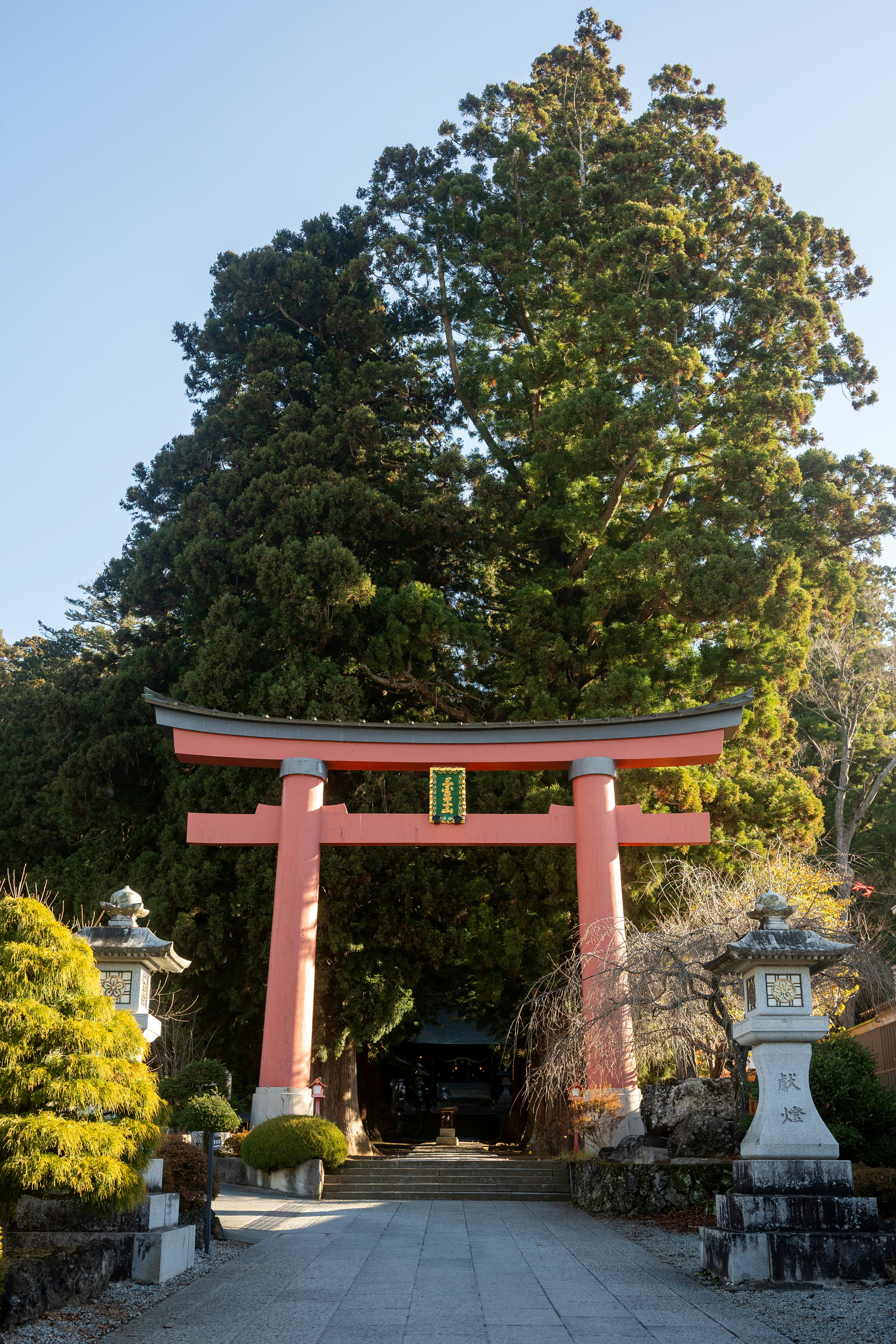 Photo by turquocabbit