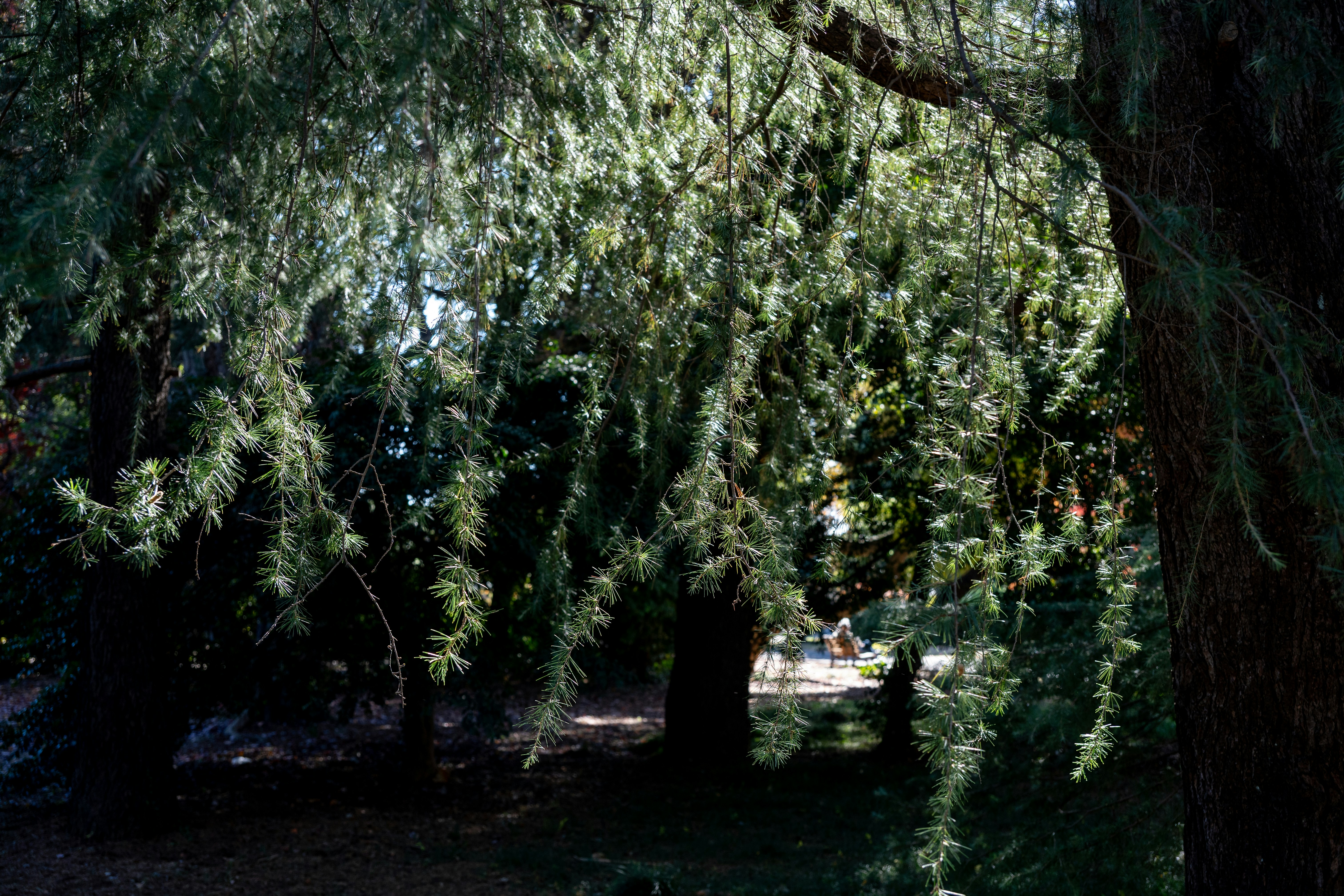 Photo by turquocabbit