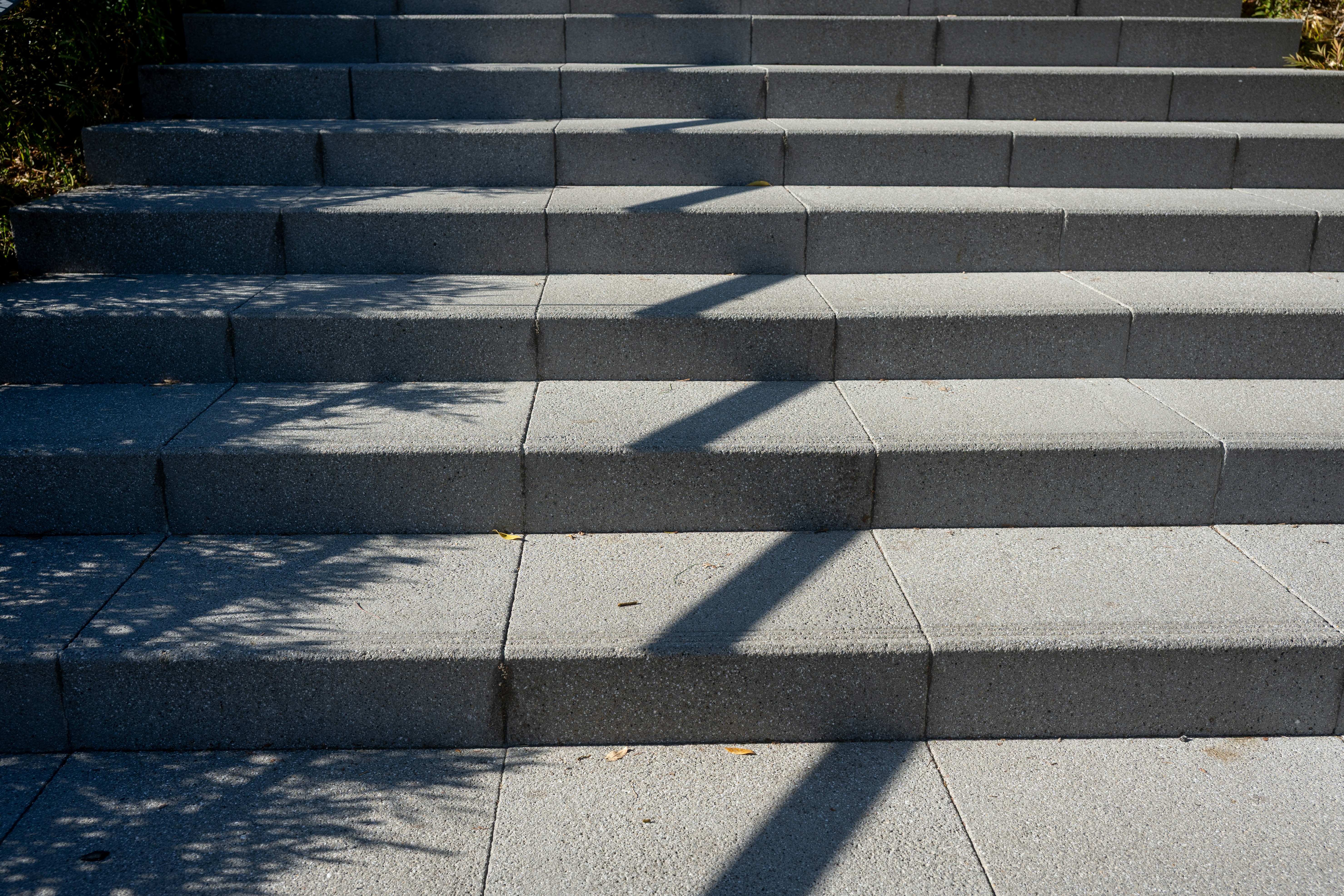 Photo by turquocabbit