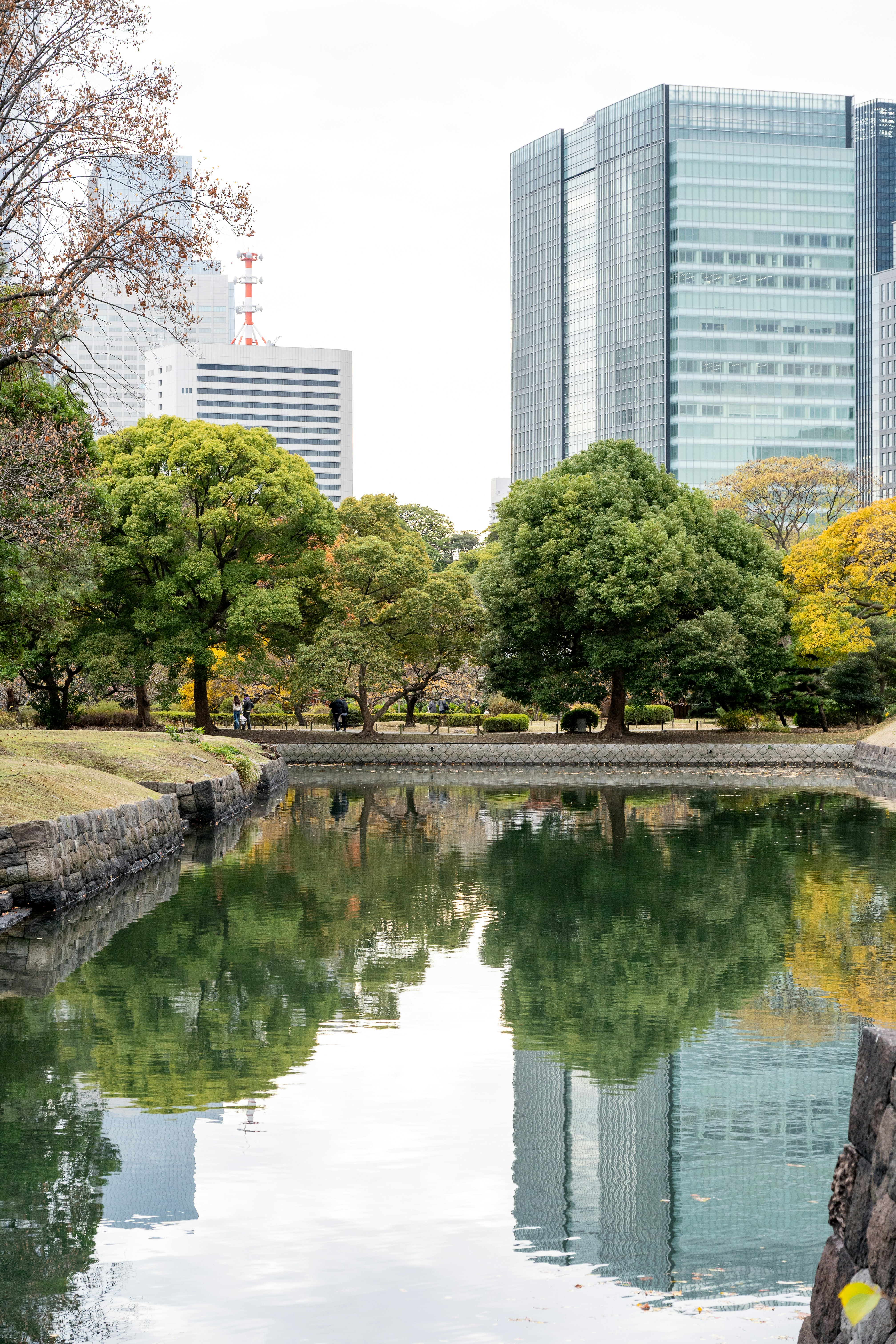 Photo by turquocabbit