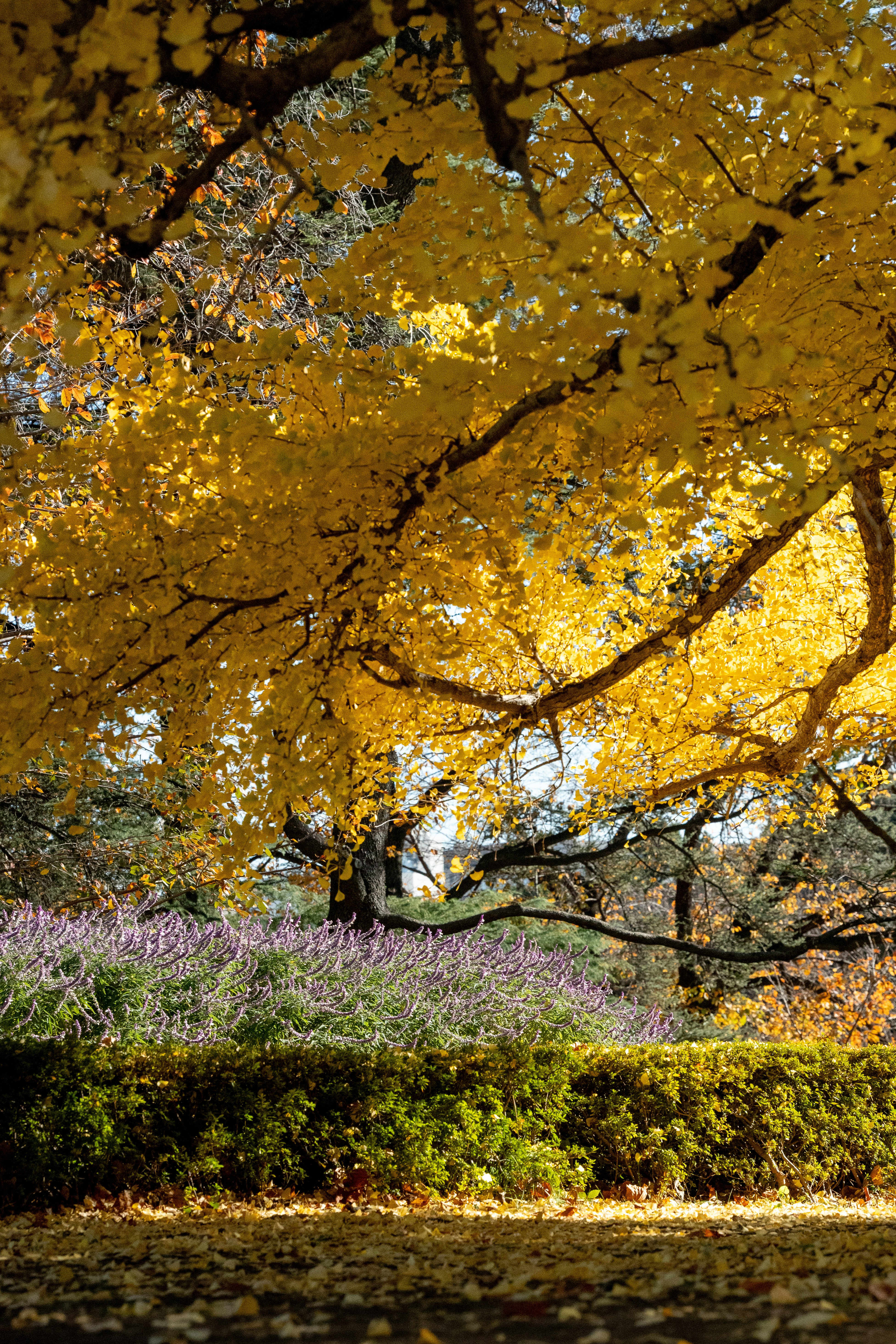 Photo by turquocabbit