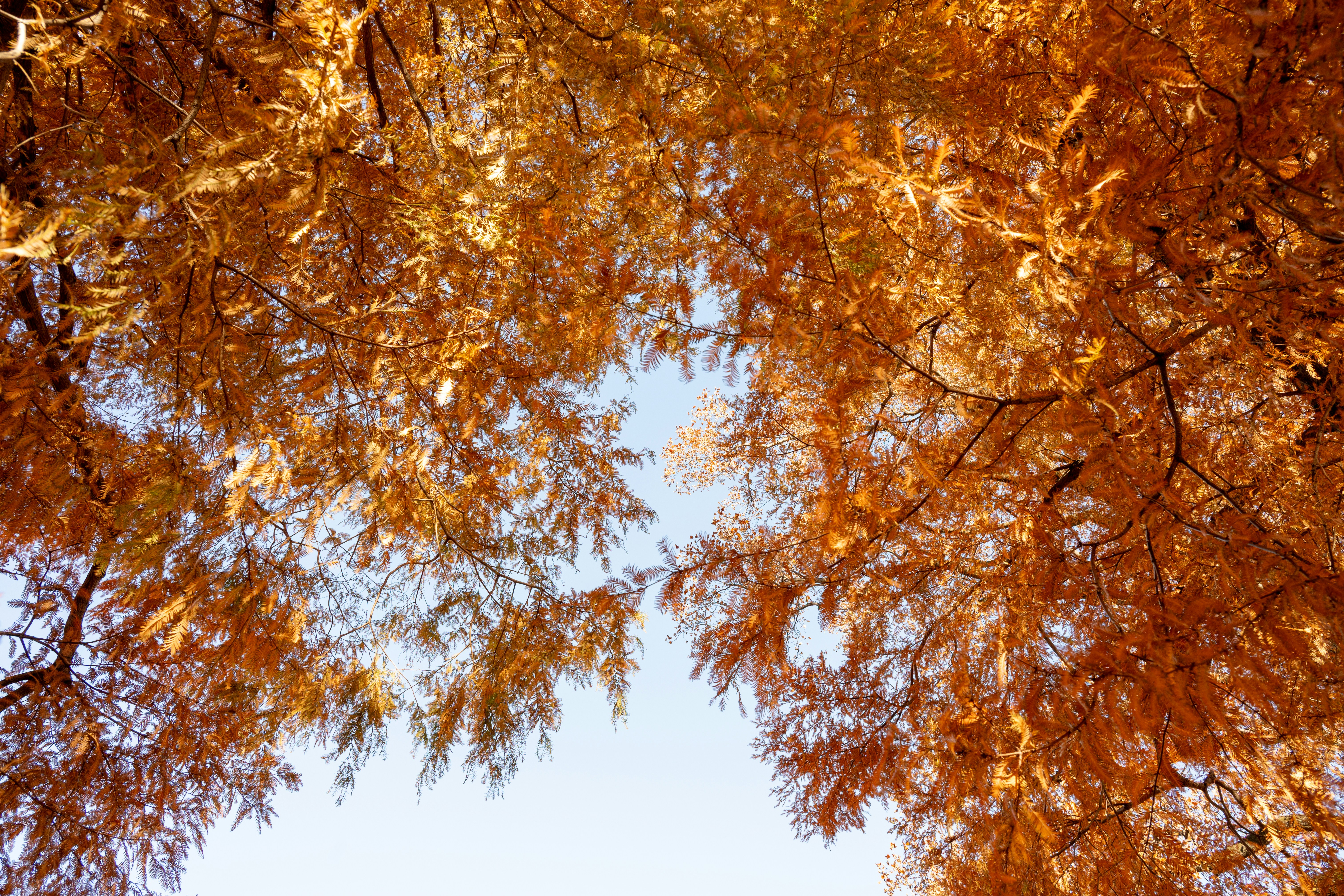 Photo by turquocabbit