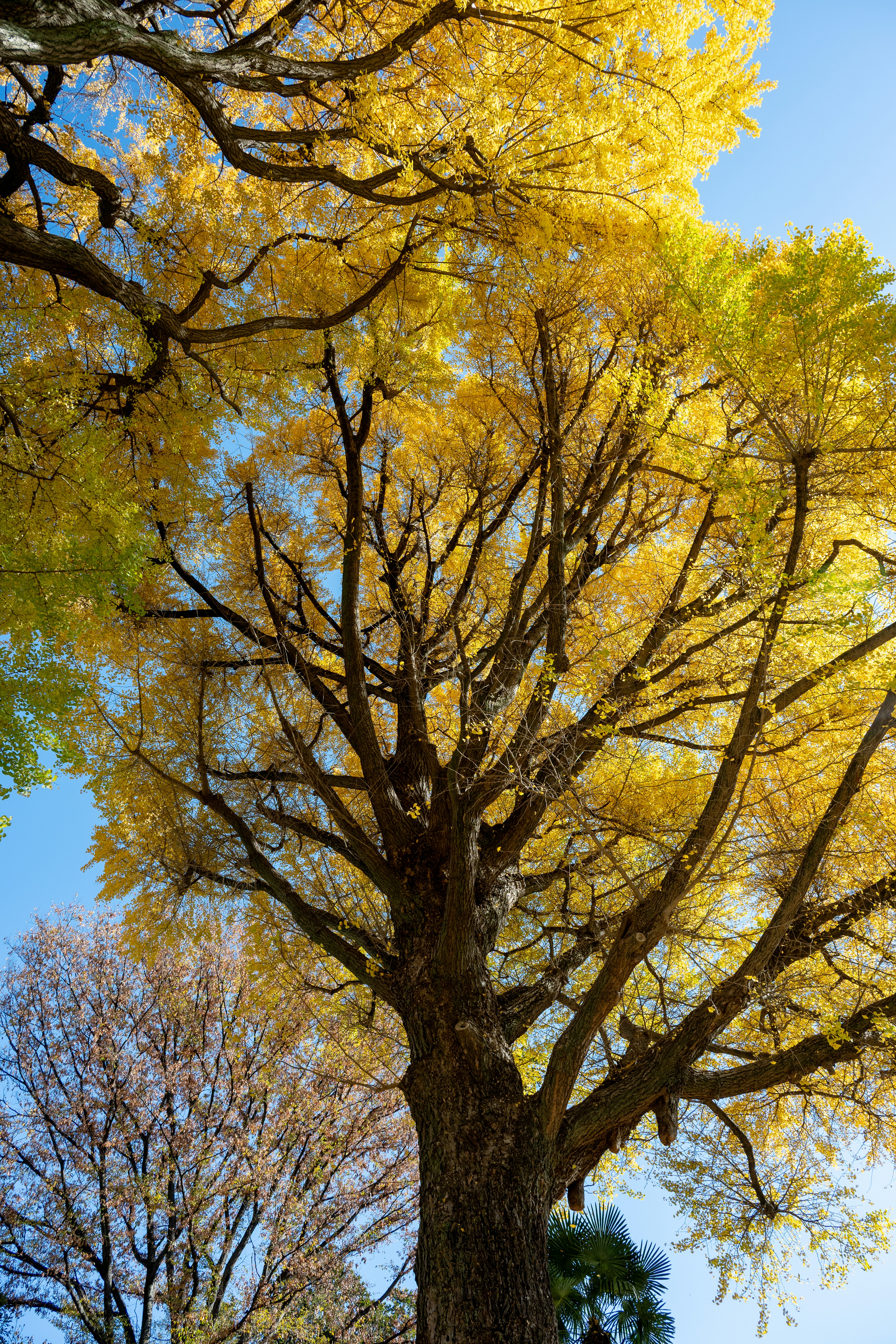 Photo by turquocabbit