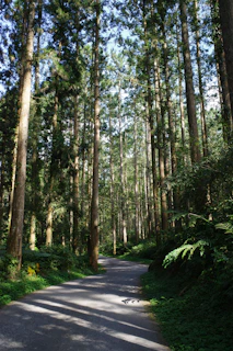 life transitions grief anxiety therapy California