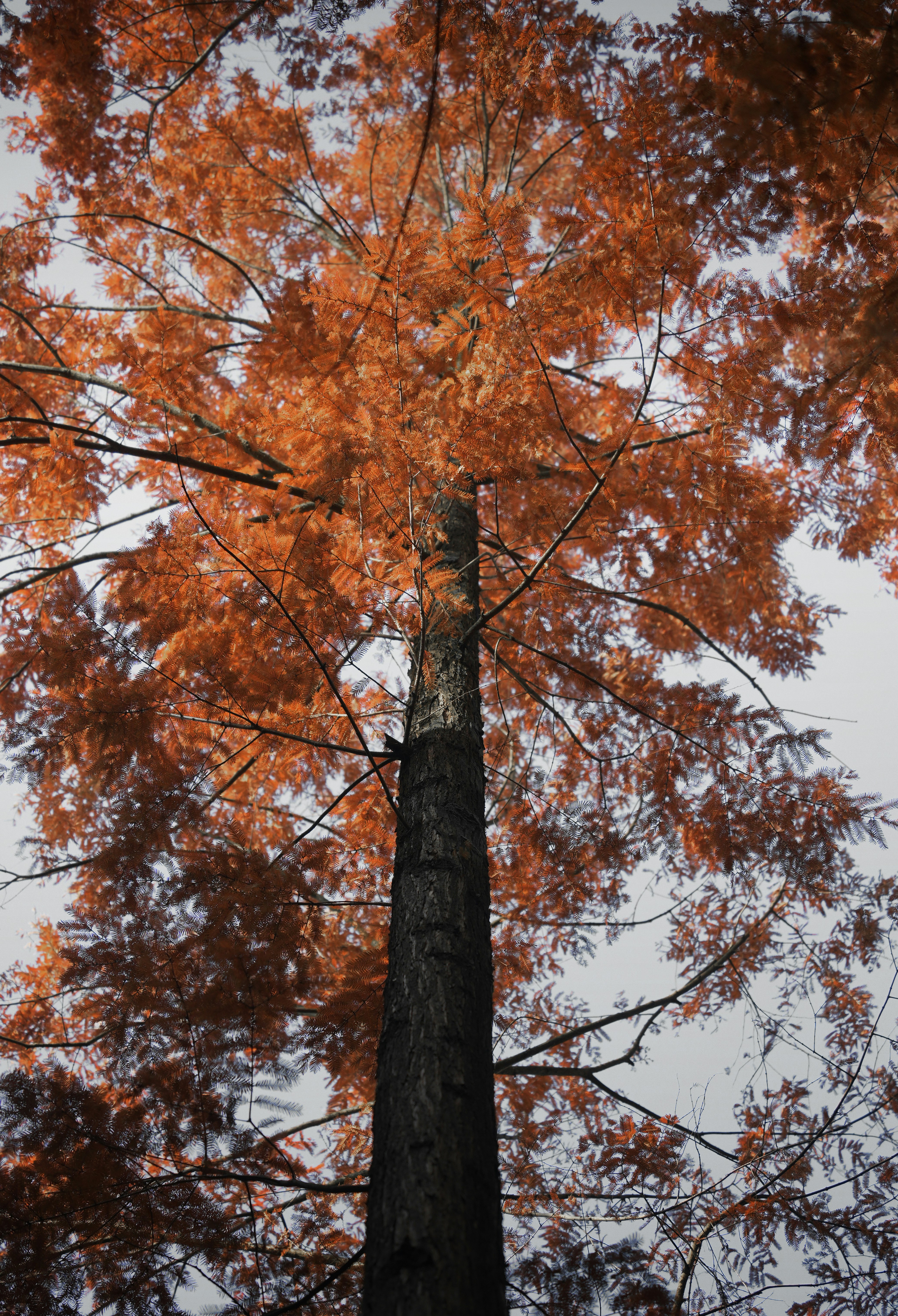 Photo by you_xiaonan