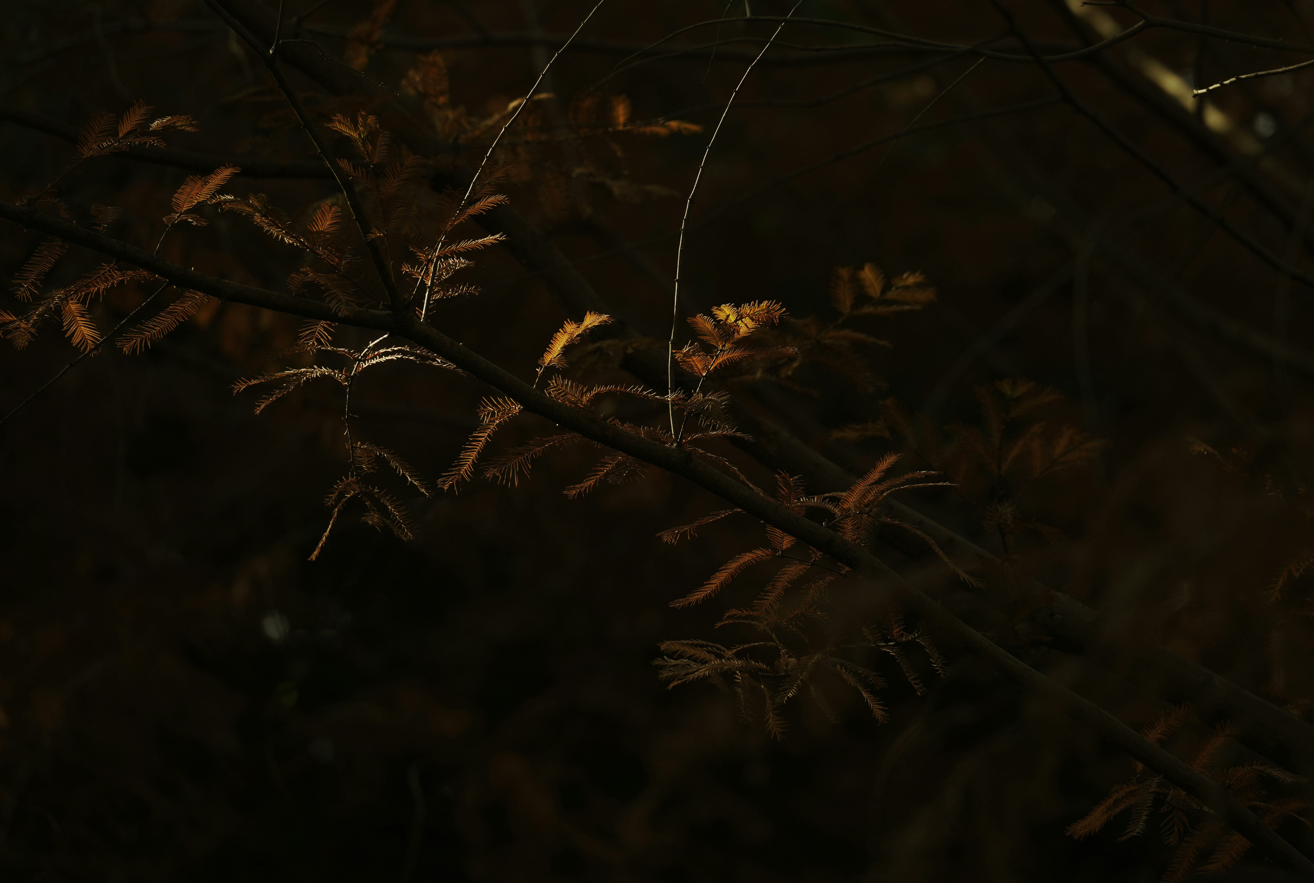 Photo by you_xiaonan