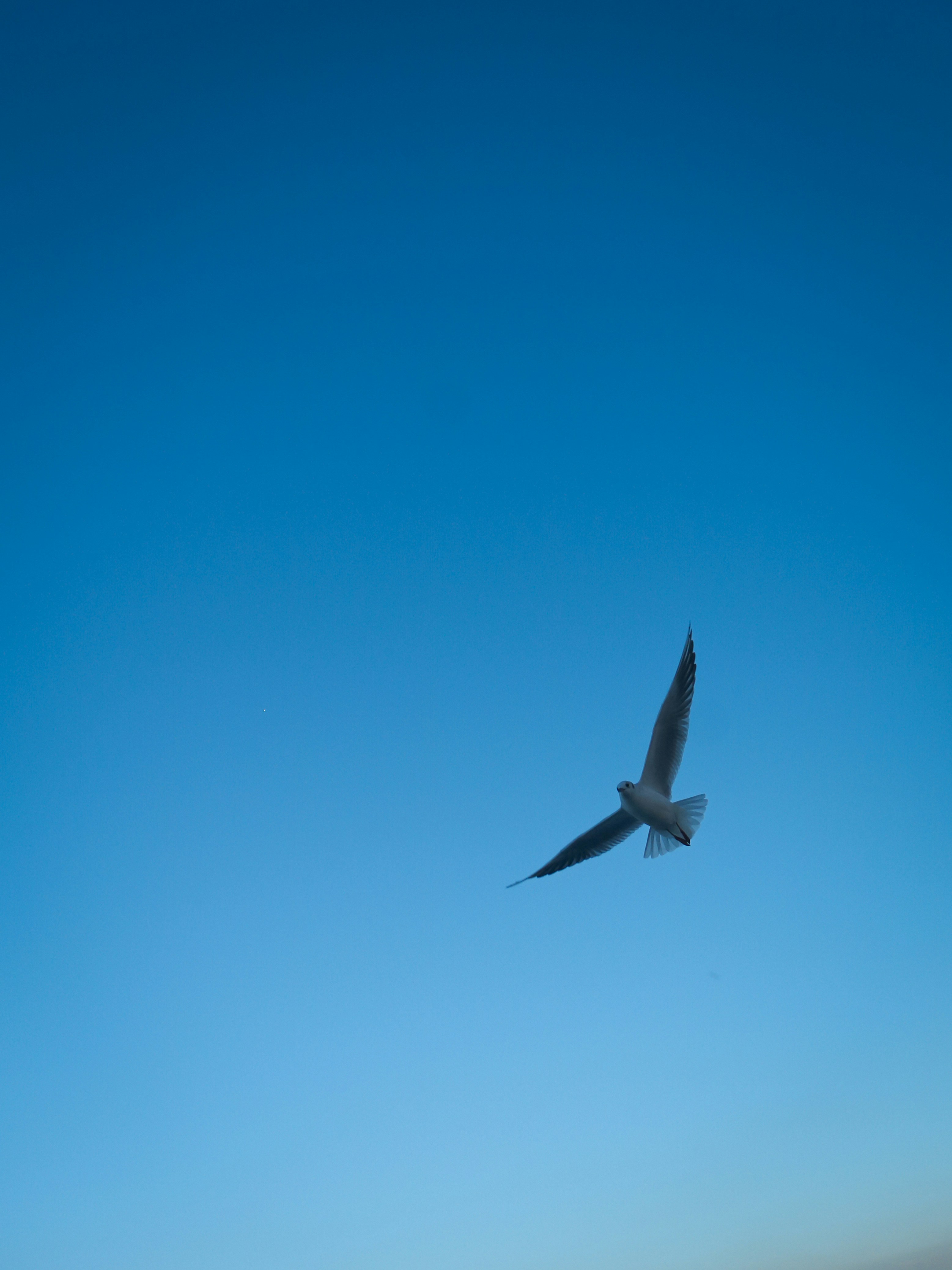 Photo by pixelated_vision