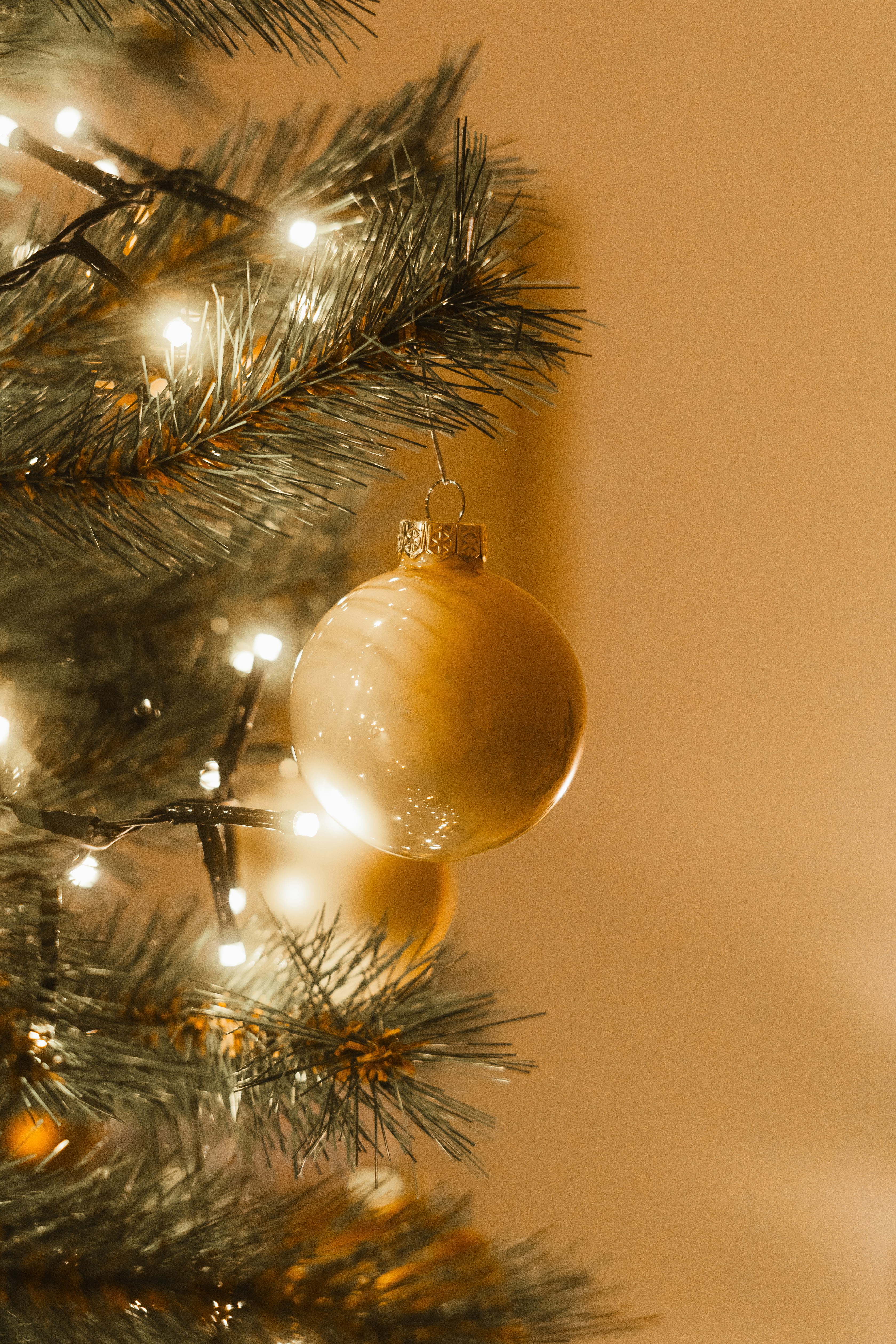 Photo by visualsbying