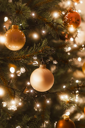 Close-up of a decorated christmas tree with lights