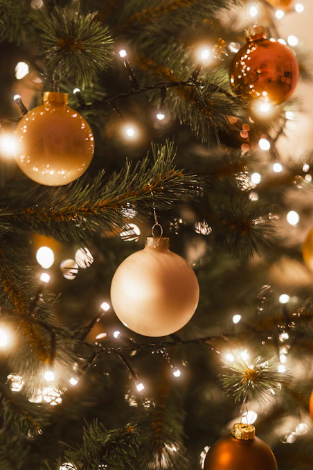 Close-up of a decorated christmas tree with lights