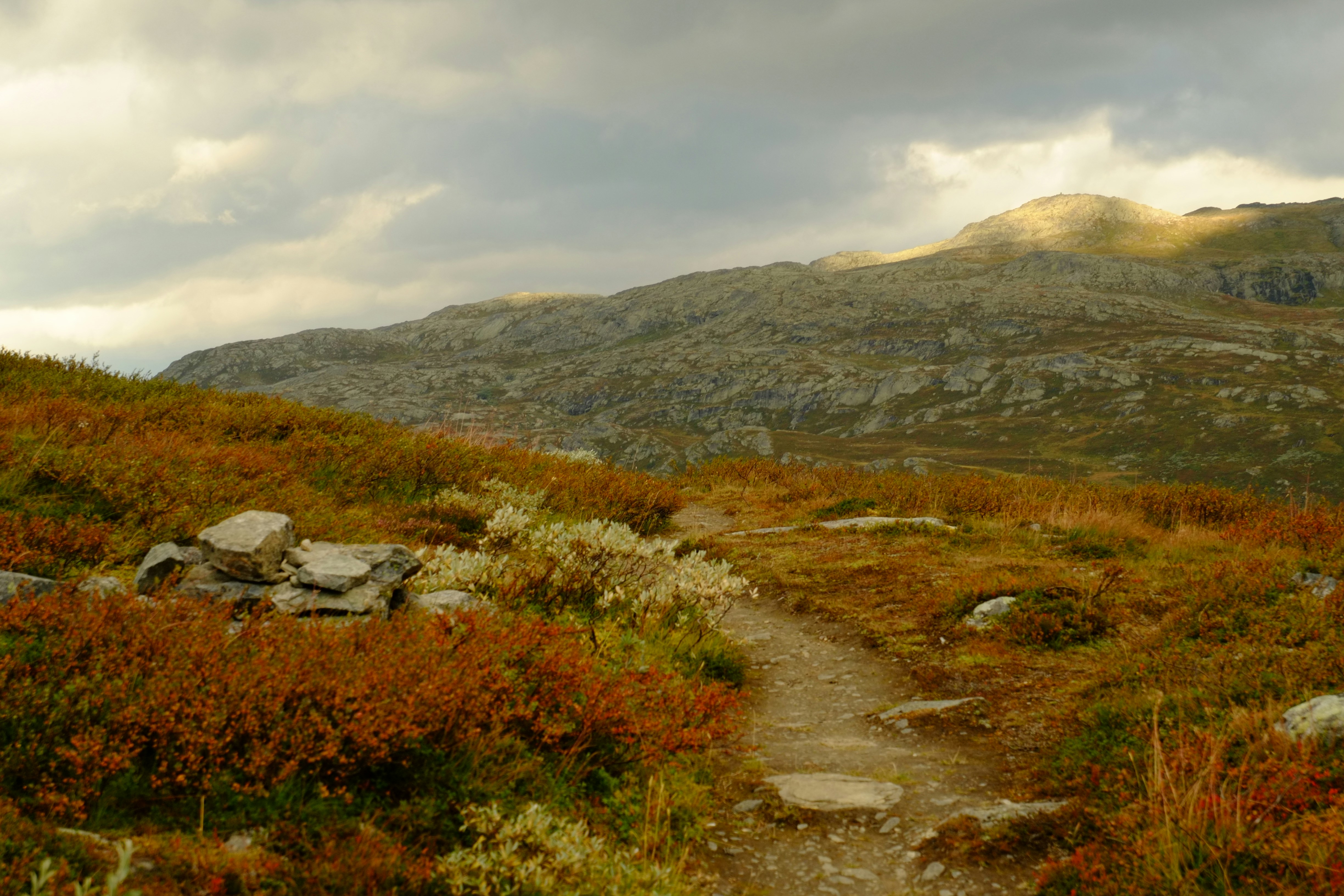 Photo by bernhardbar