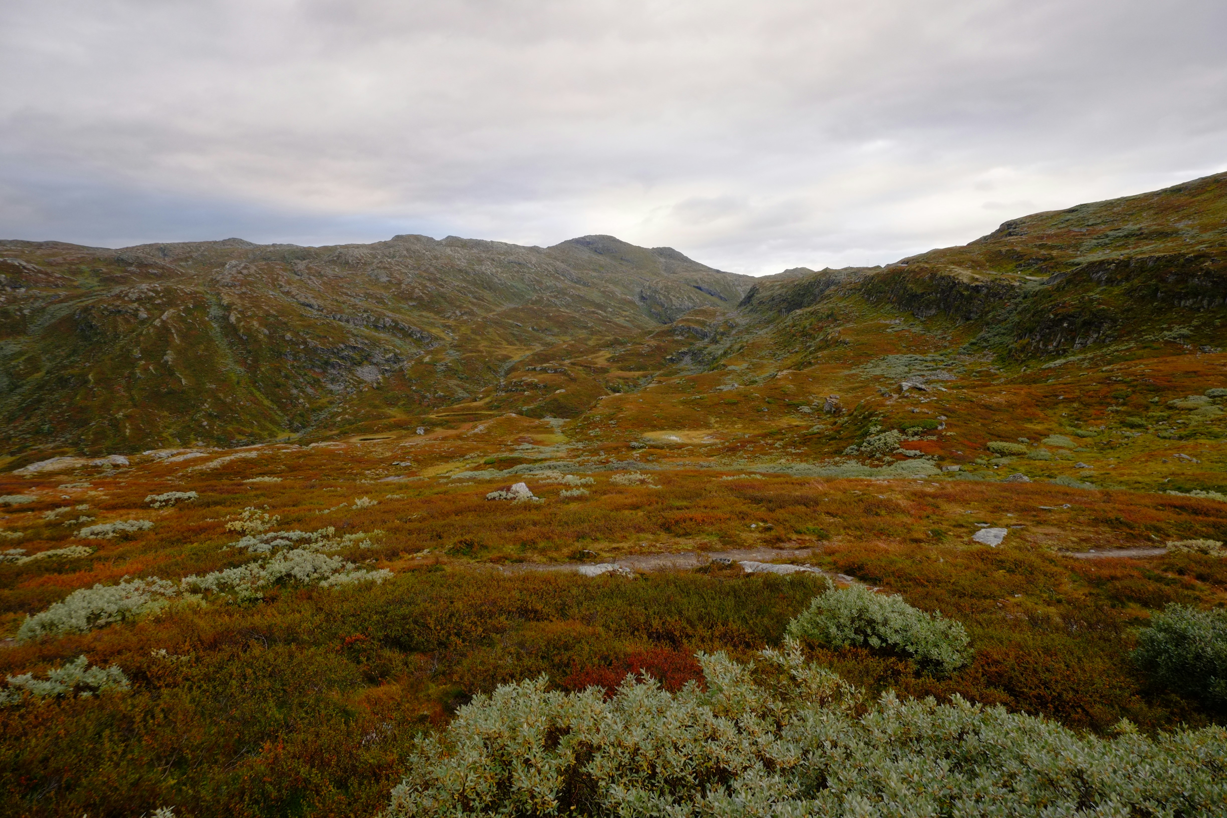 Photo by bernhardbar