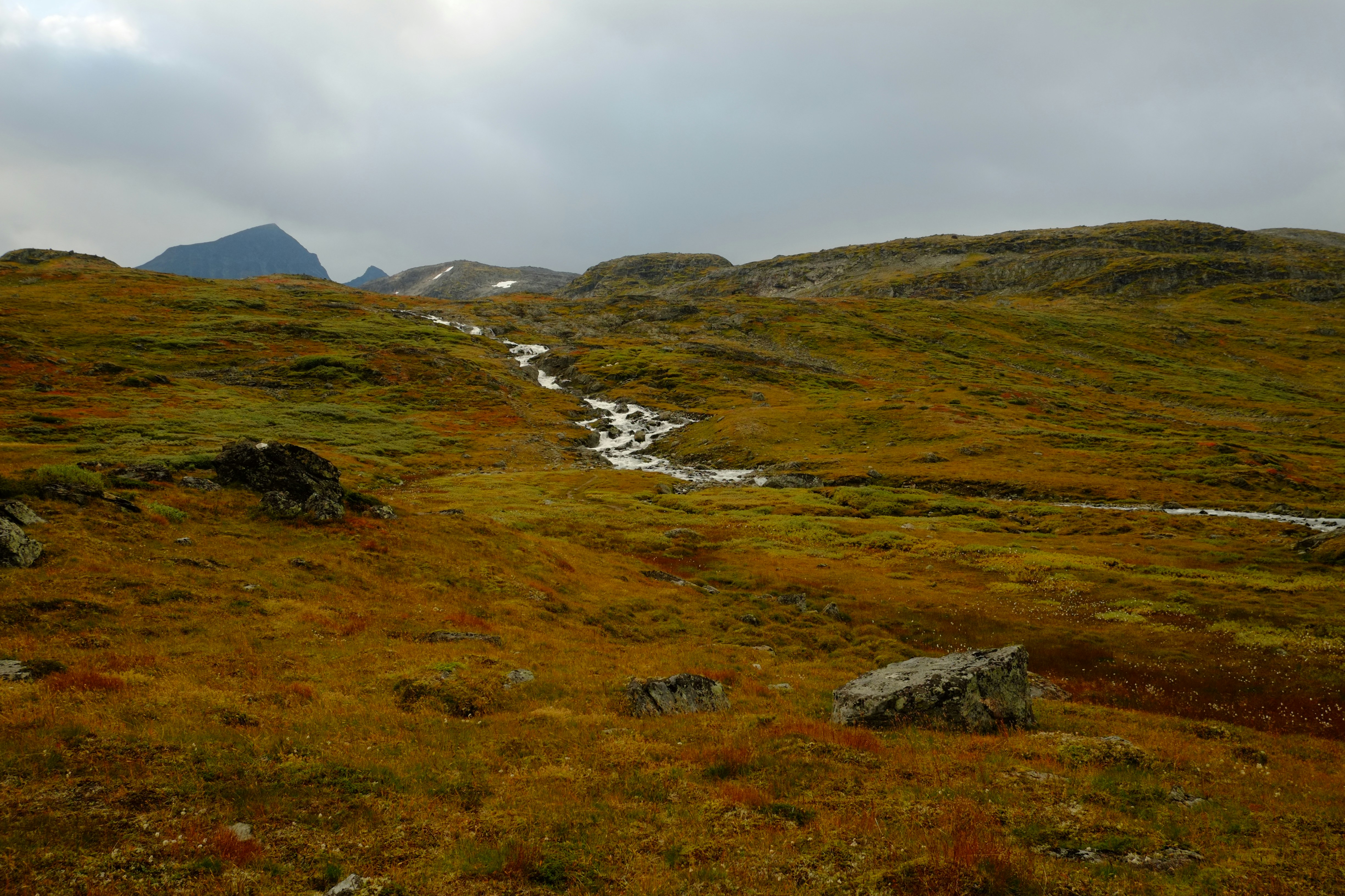 Photo by bernhardbar