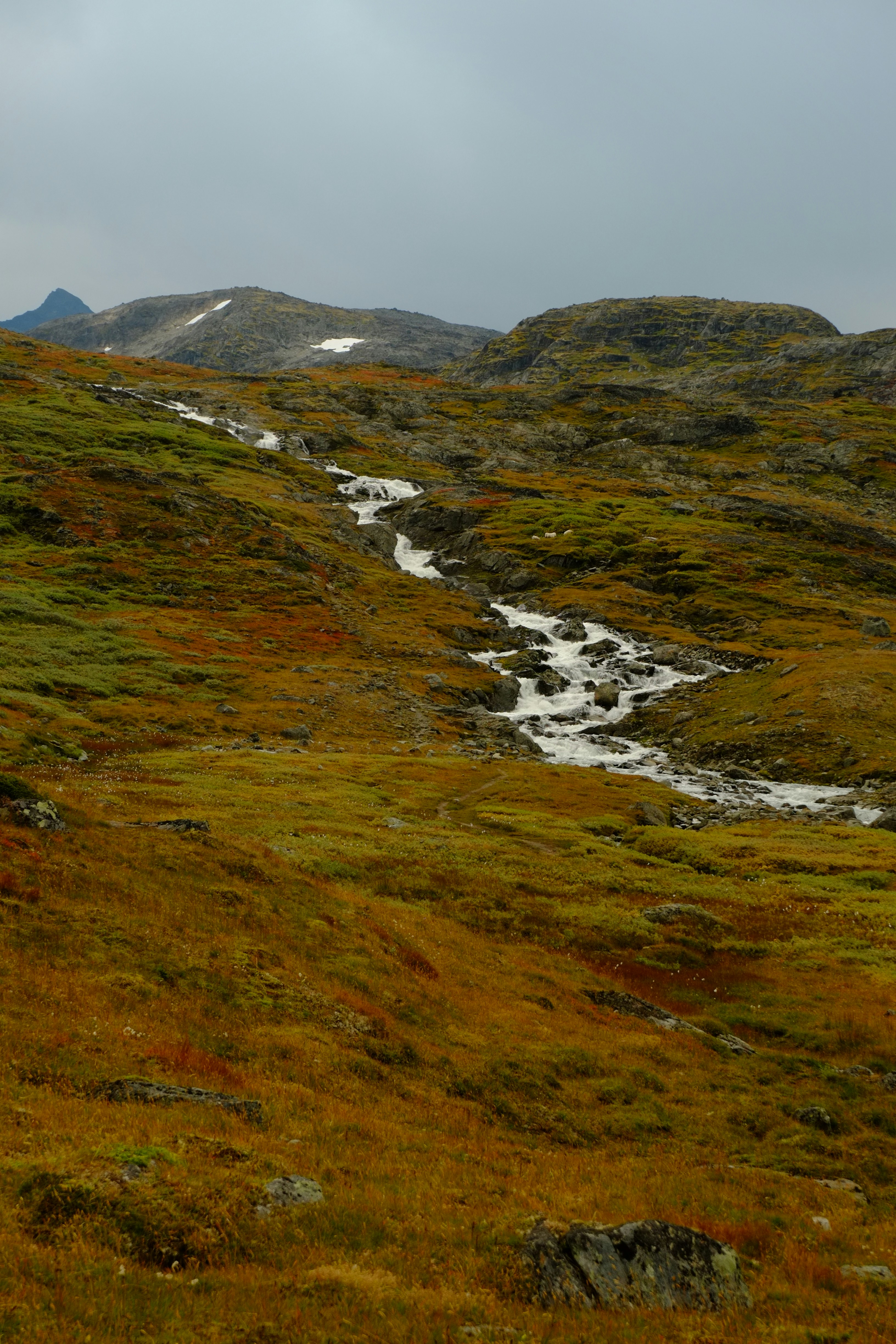 Photo by bernhardbar