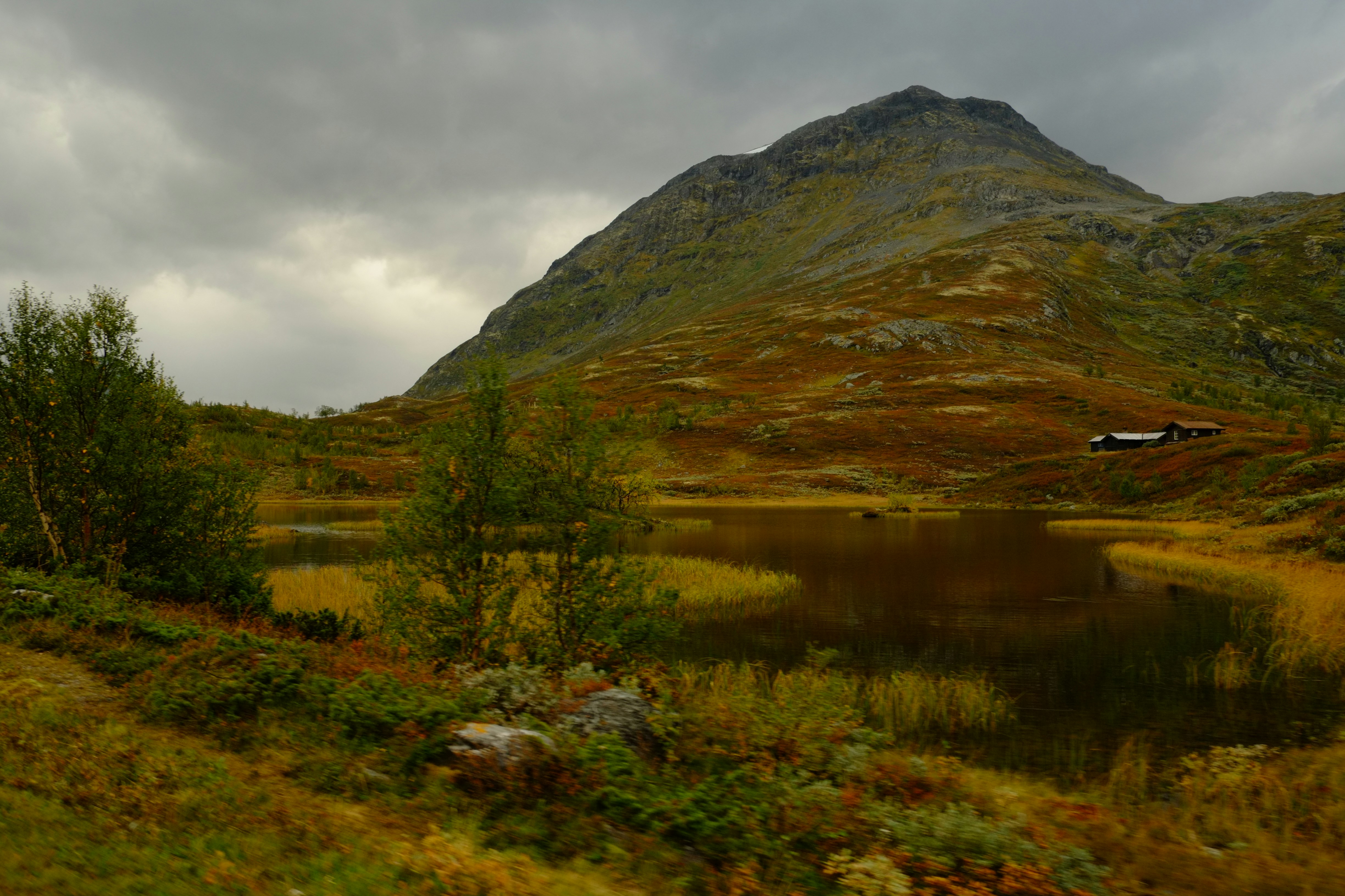 Photo by bernhardbar