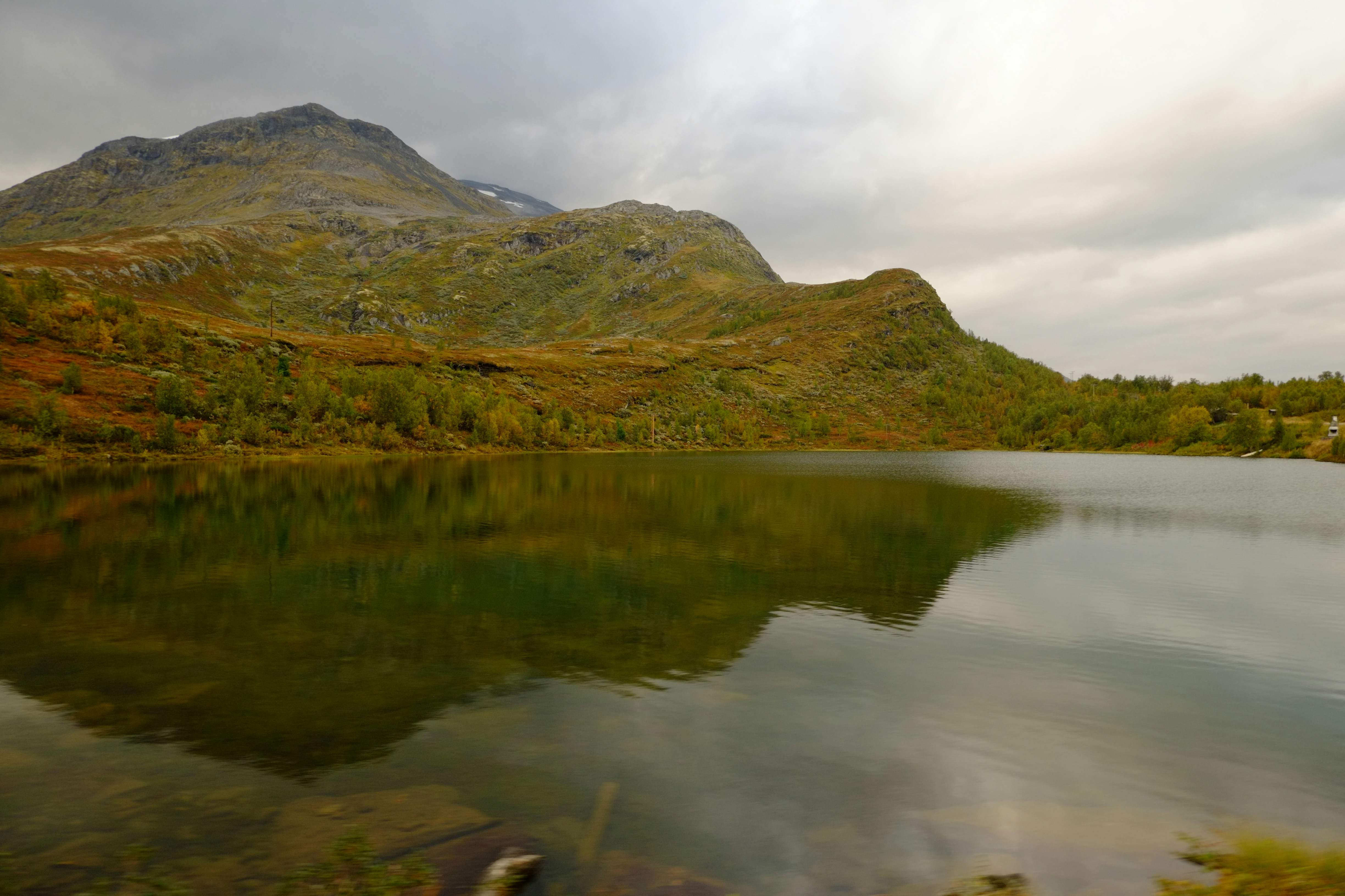 Photo by bernhardbar