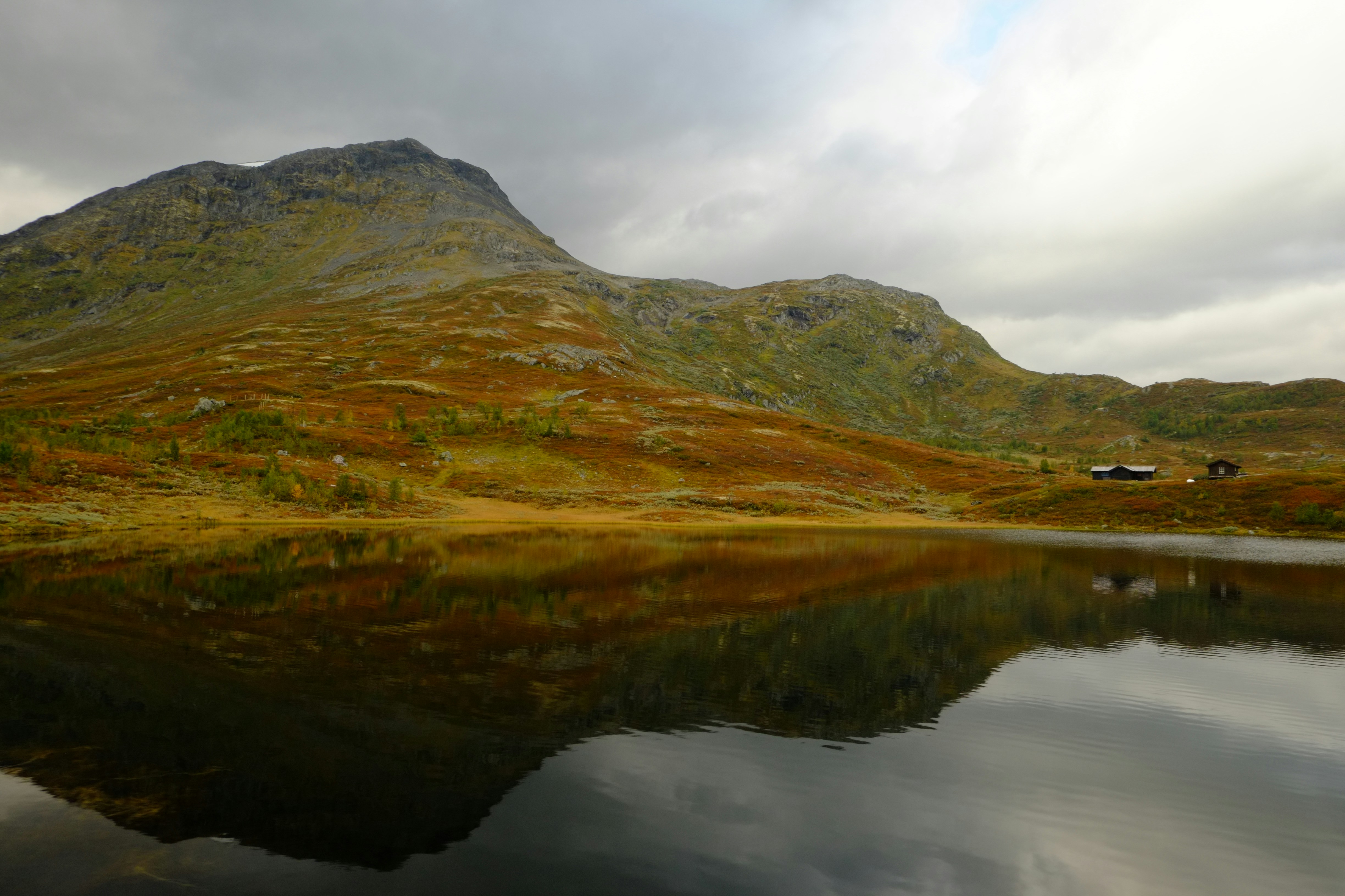 Photo by bernhardbar