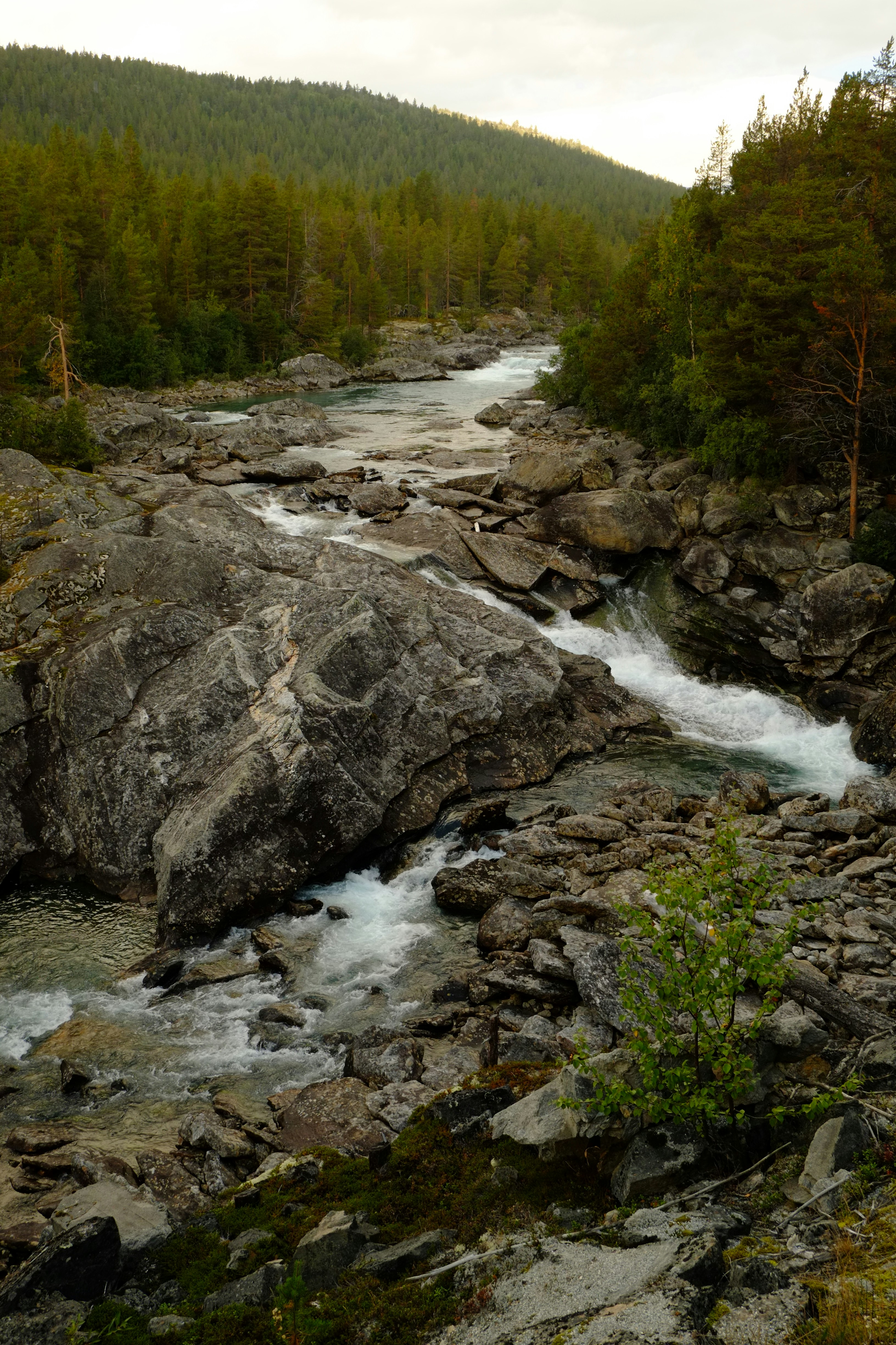 Photo by bernhardbar