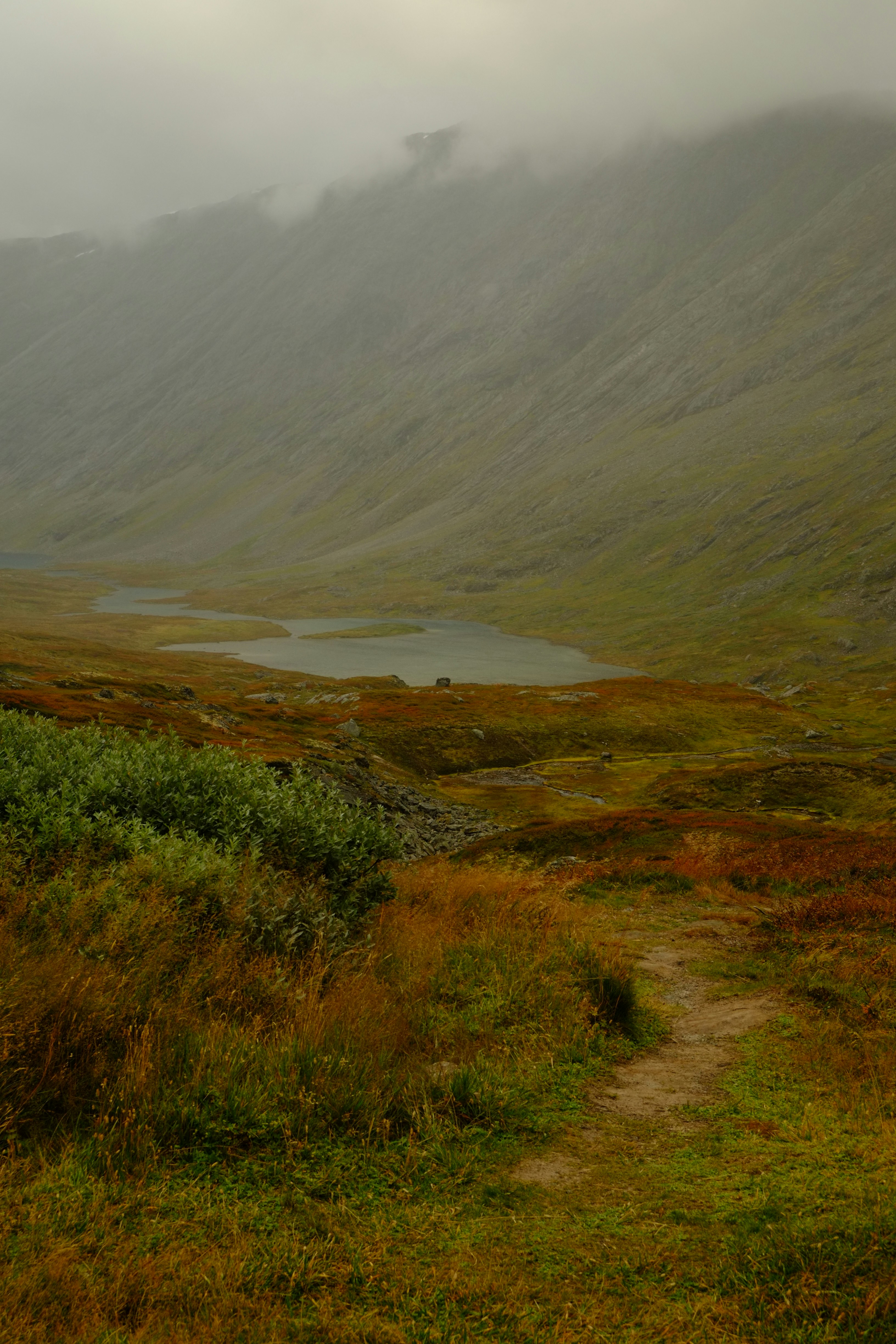 Photo by bernhardbar