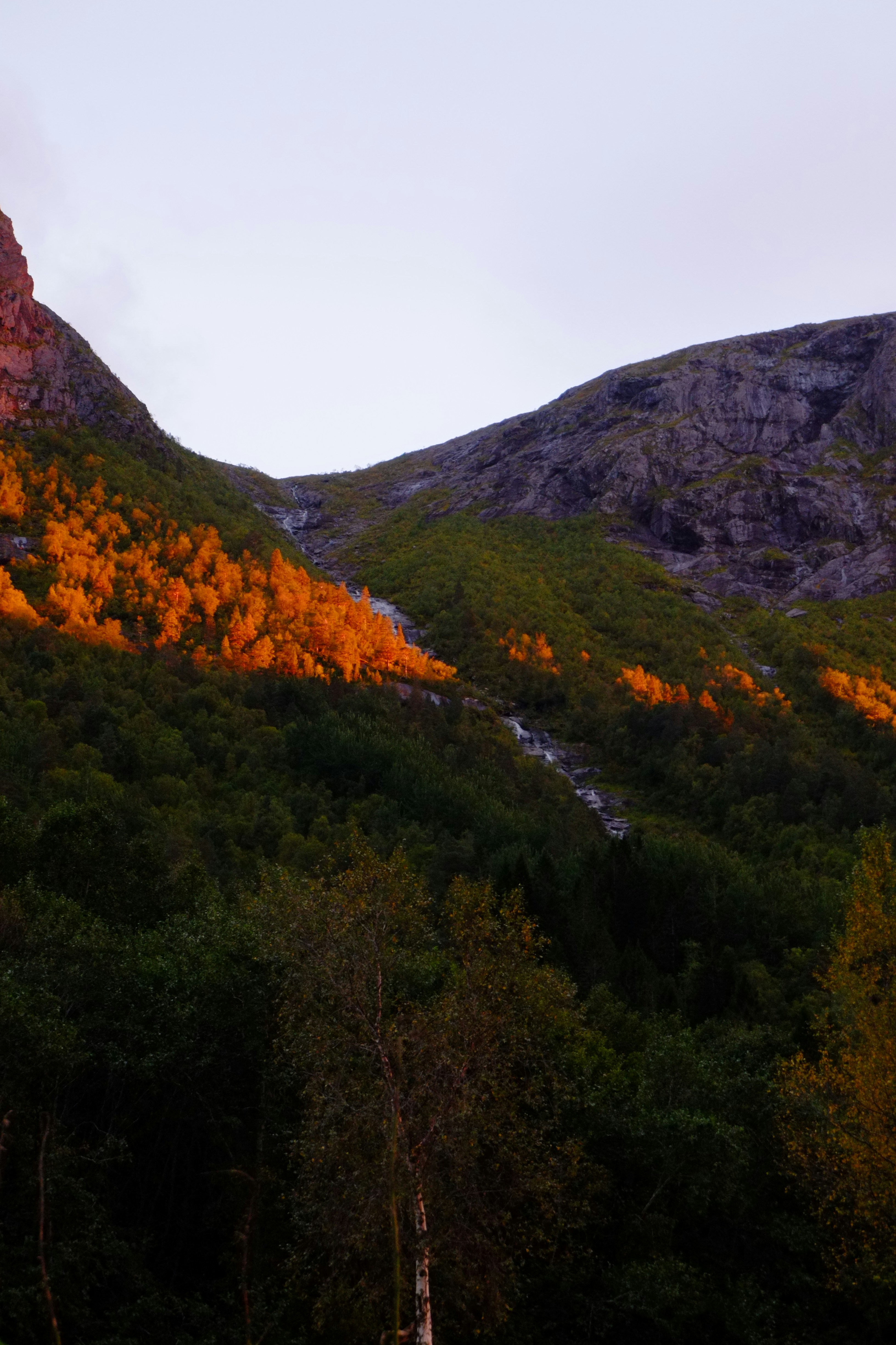 Photo by bernhardbar