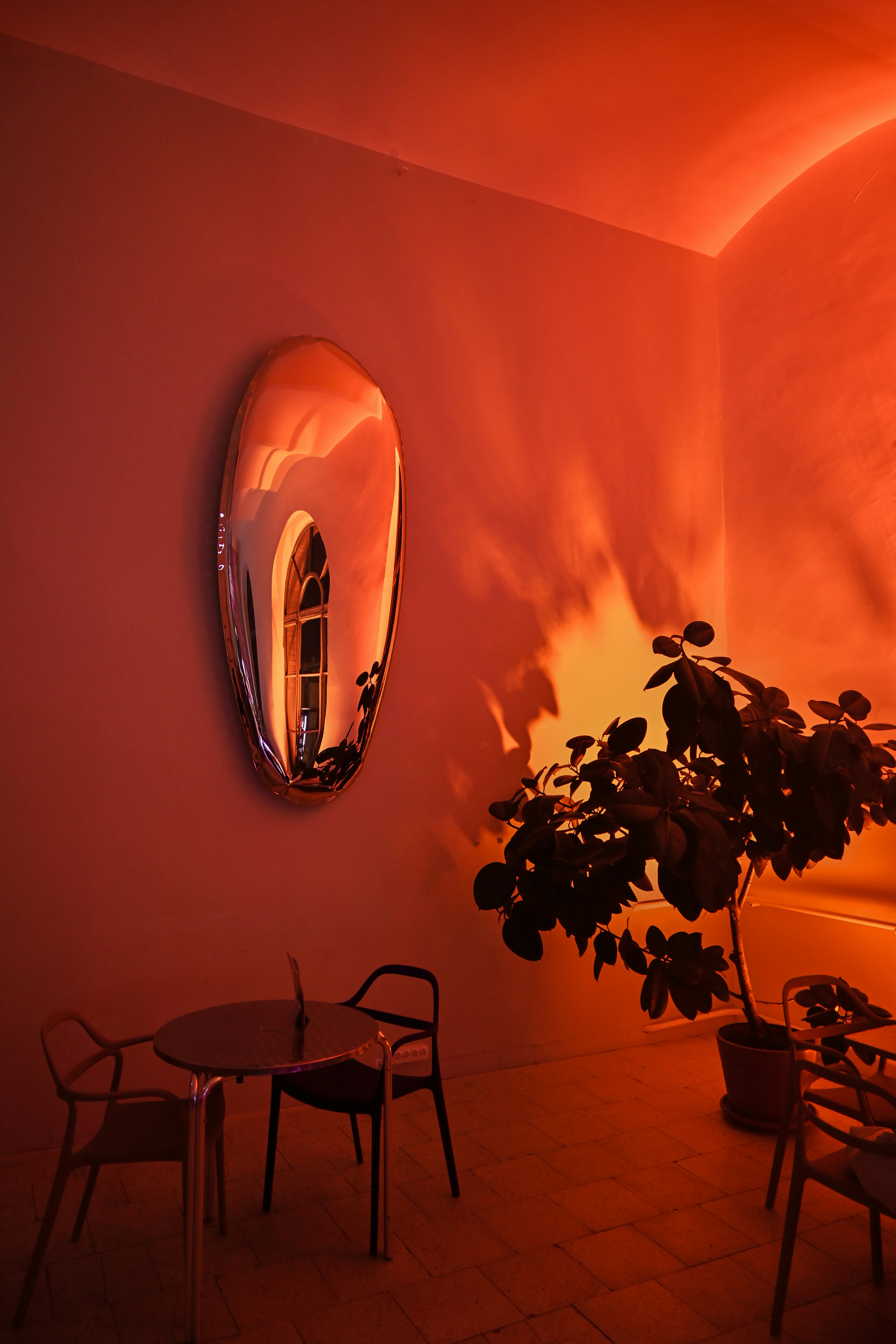 Photo by sylwiabartyzel