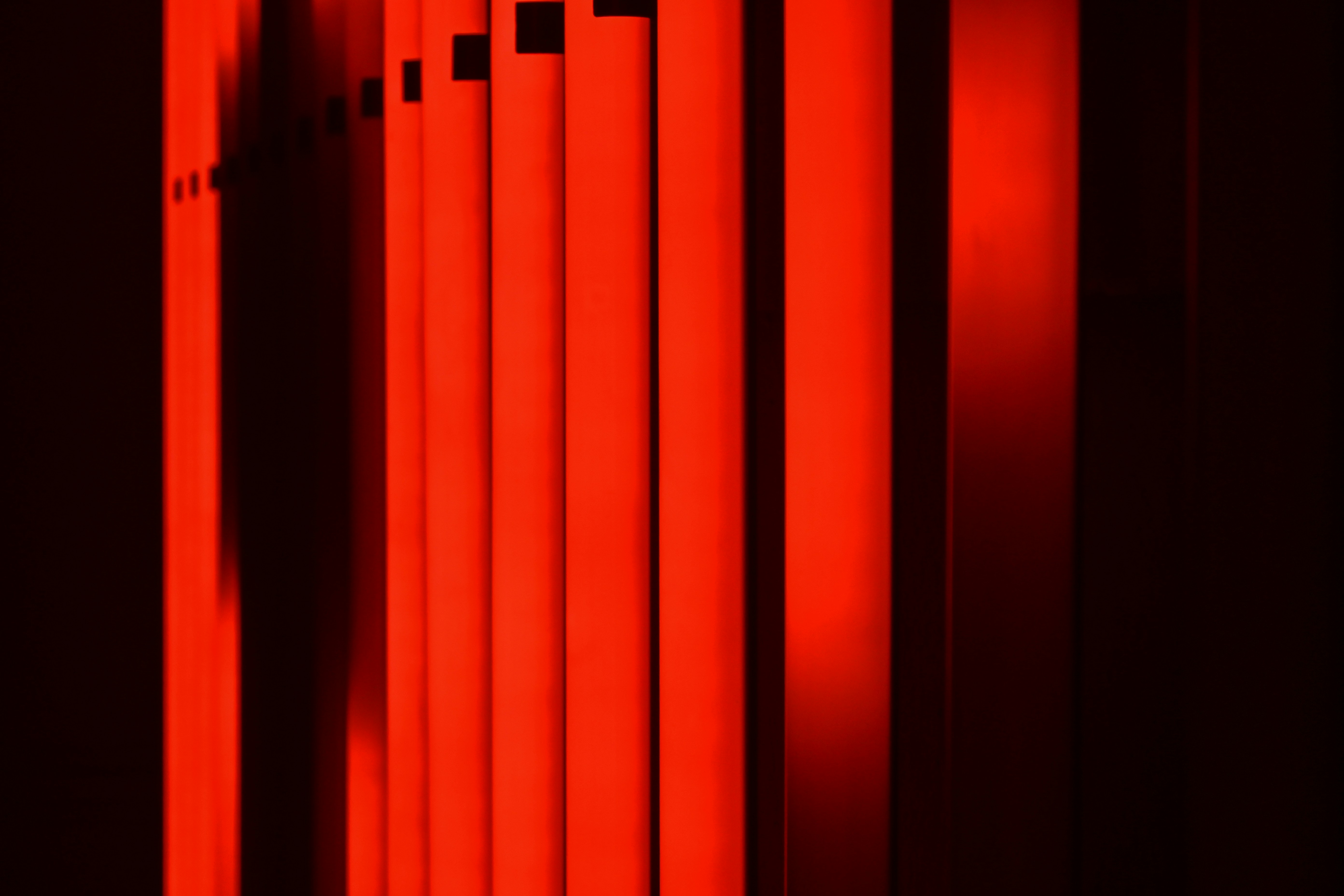 Photo by sylwiabartyzel