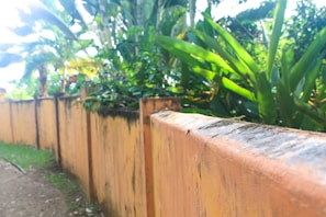 Orange wall with lush green plants behind it.