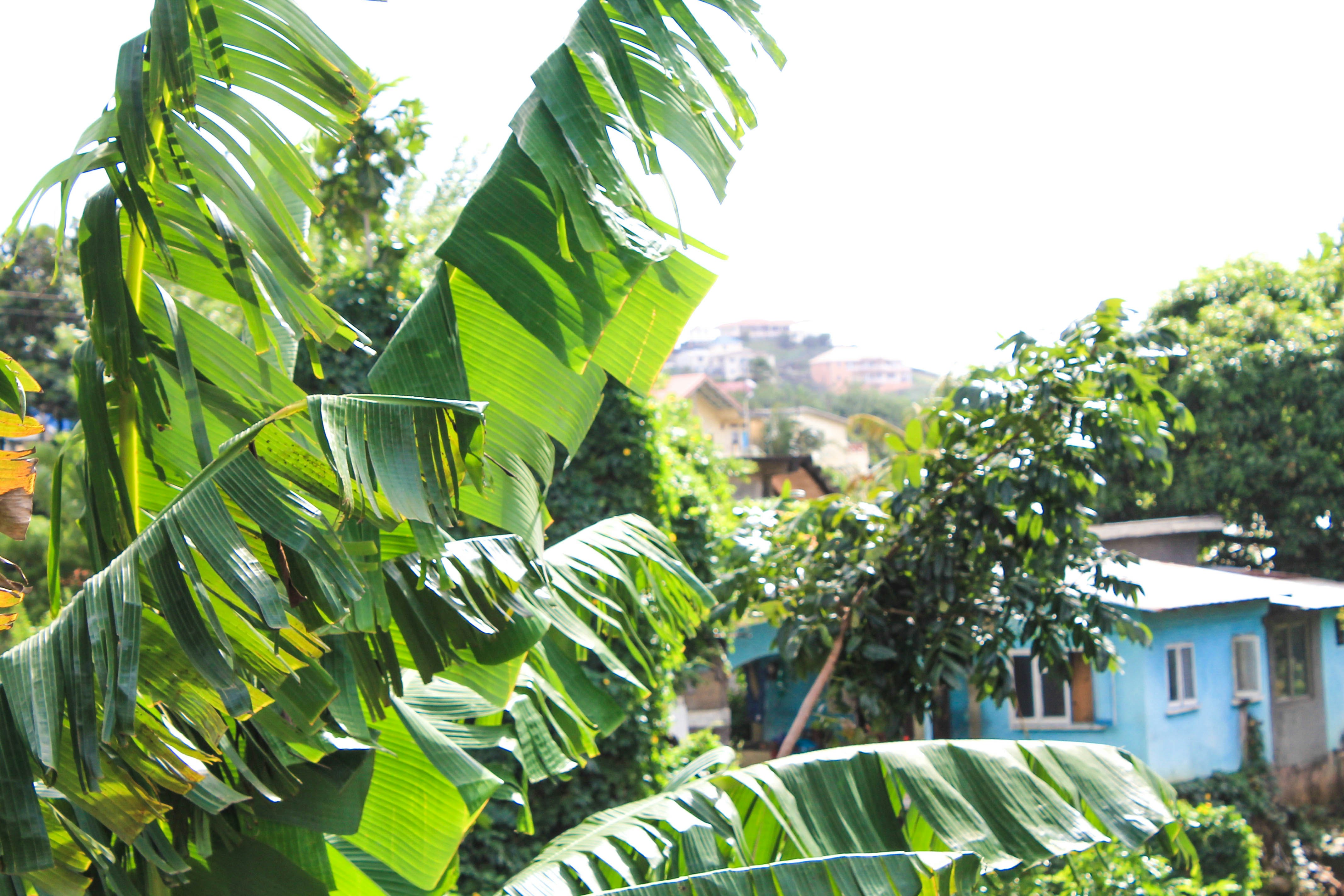 Photo by thequietatlas