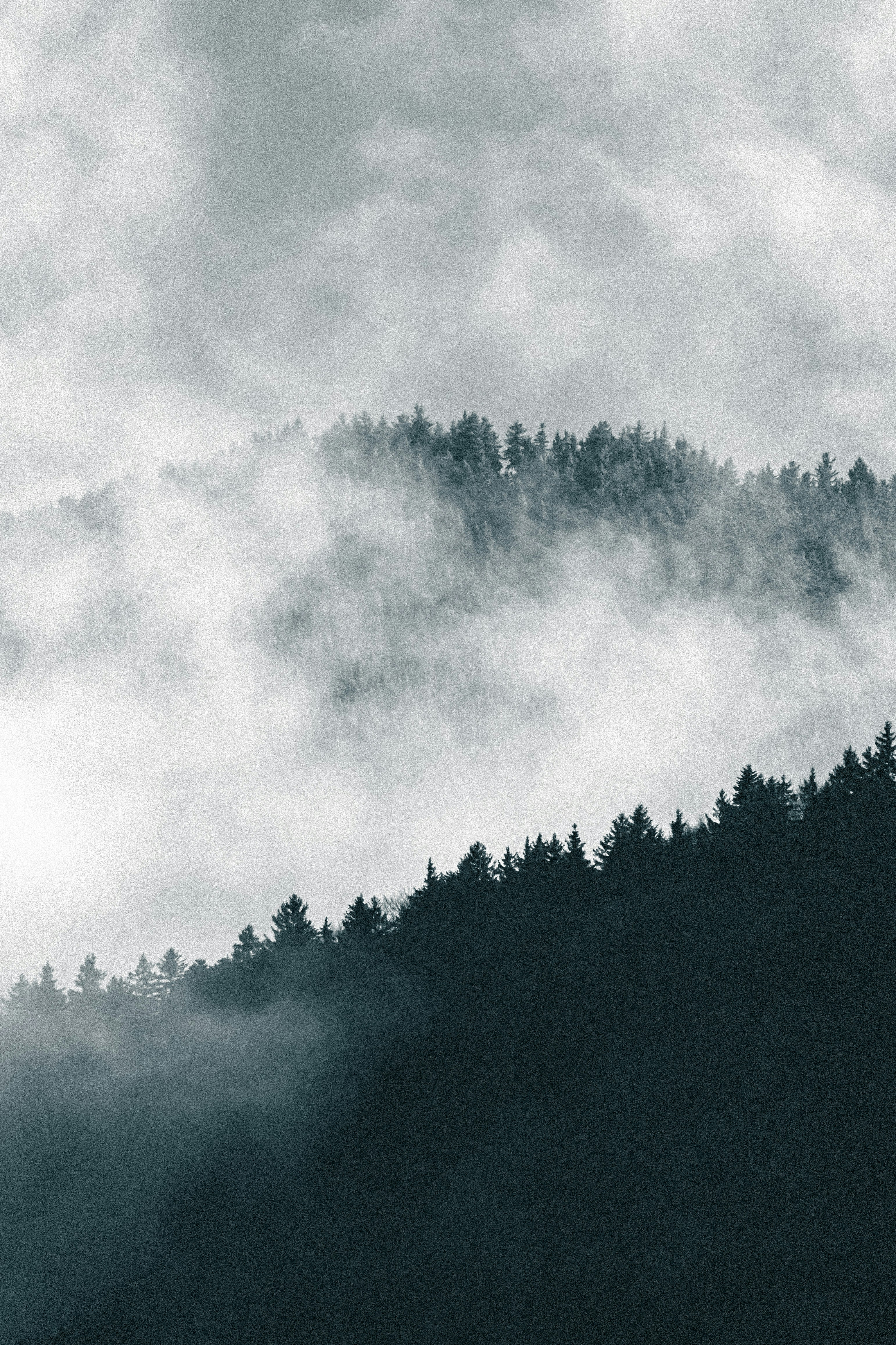 Photo by jan_ledermann