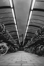 Rows of bicycles parked under a covered structure.