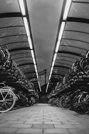 Rows of bicycles parked under a covered structure.
